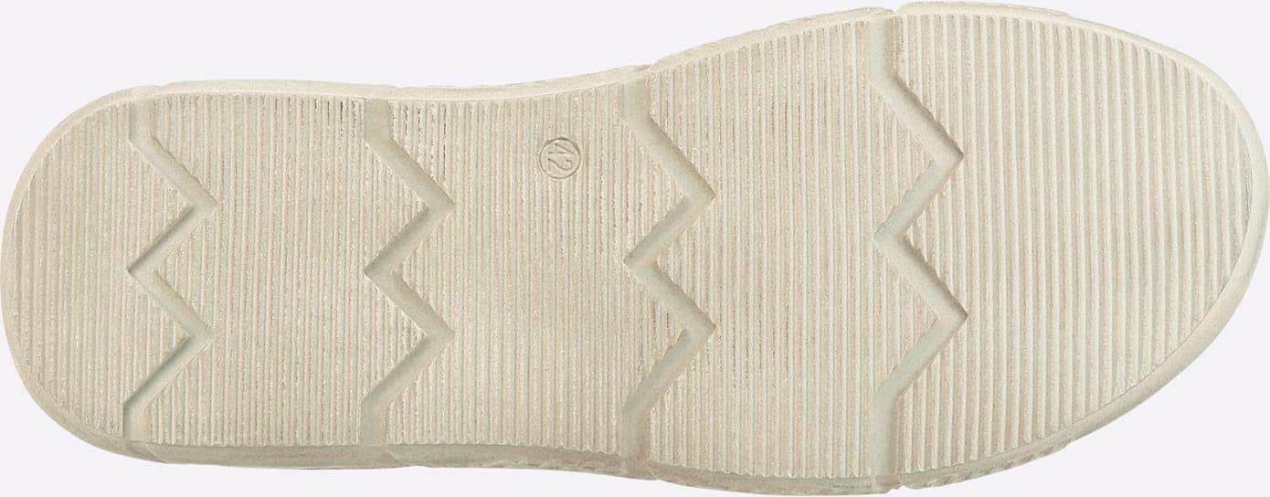   Slipper