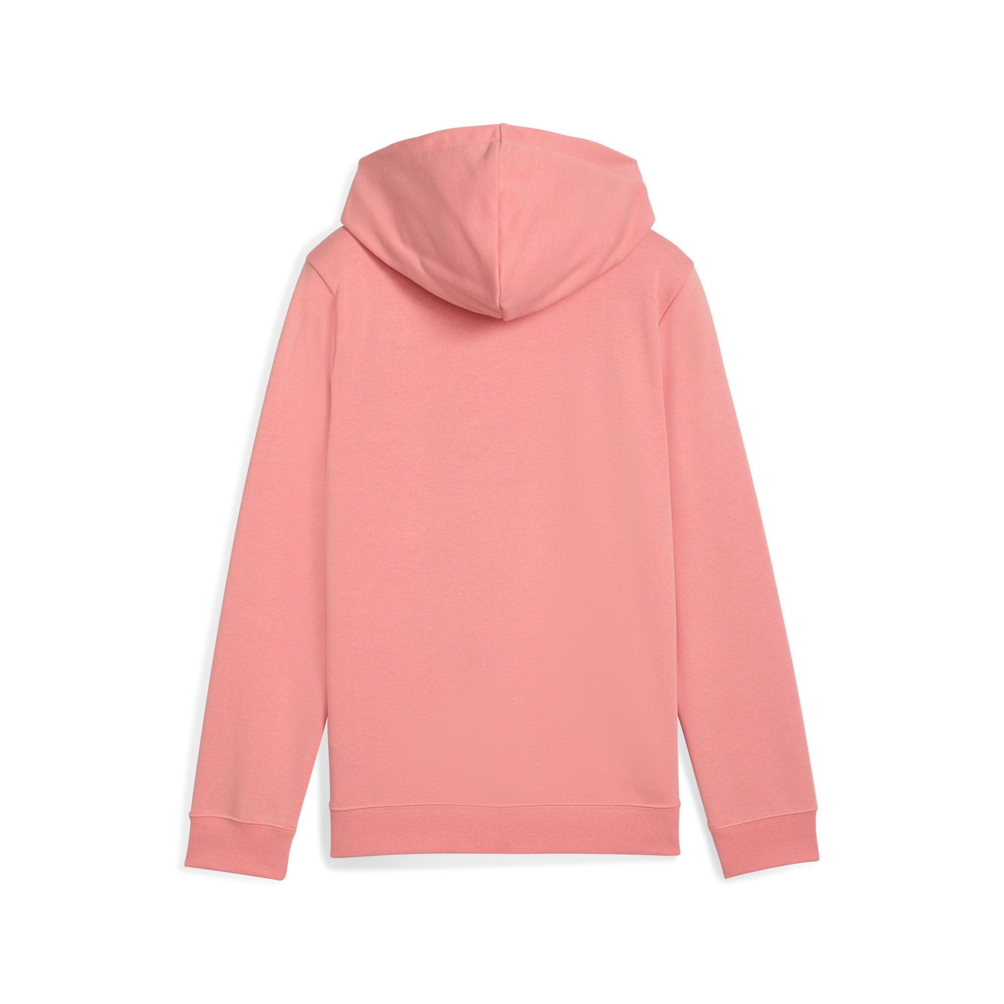 PUMA Kapuzensweatshirt »ESS NO. 1 LOGO HOODIE TR G«