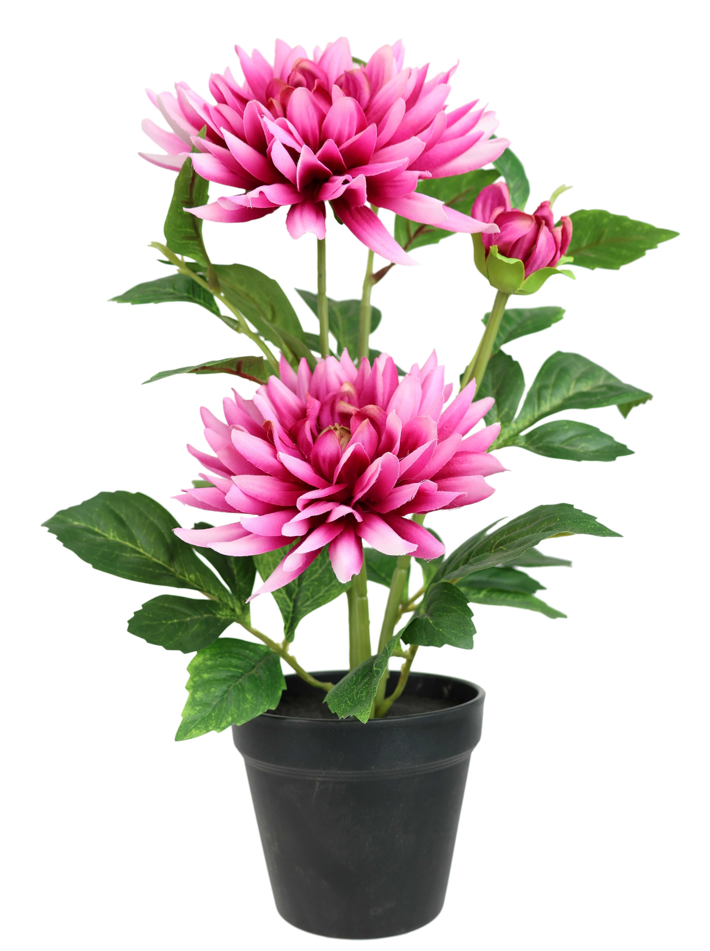 I.GE.A. Kunstblume "Chrysantheme im Topf 40cm" Kunstpflanze Pflanze Blume künstlich Deko Herbstdeko Seidenblume