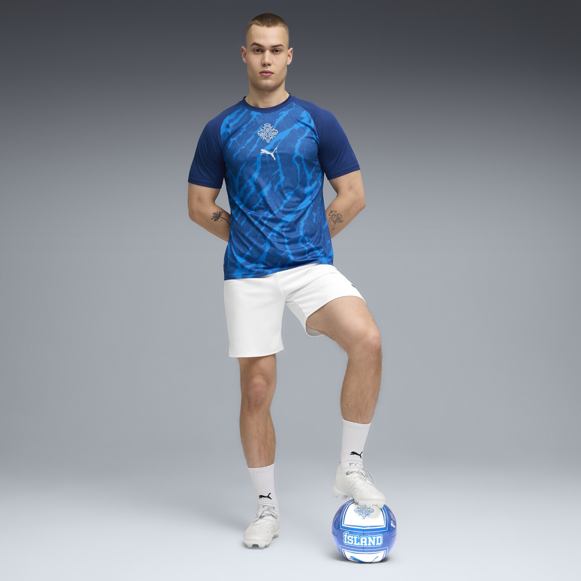 PUMA Trainingsshirt »Island Aufwärmtrikot Herren«