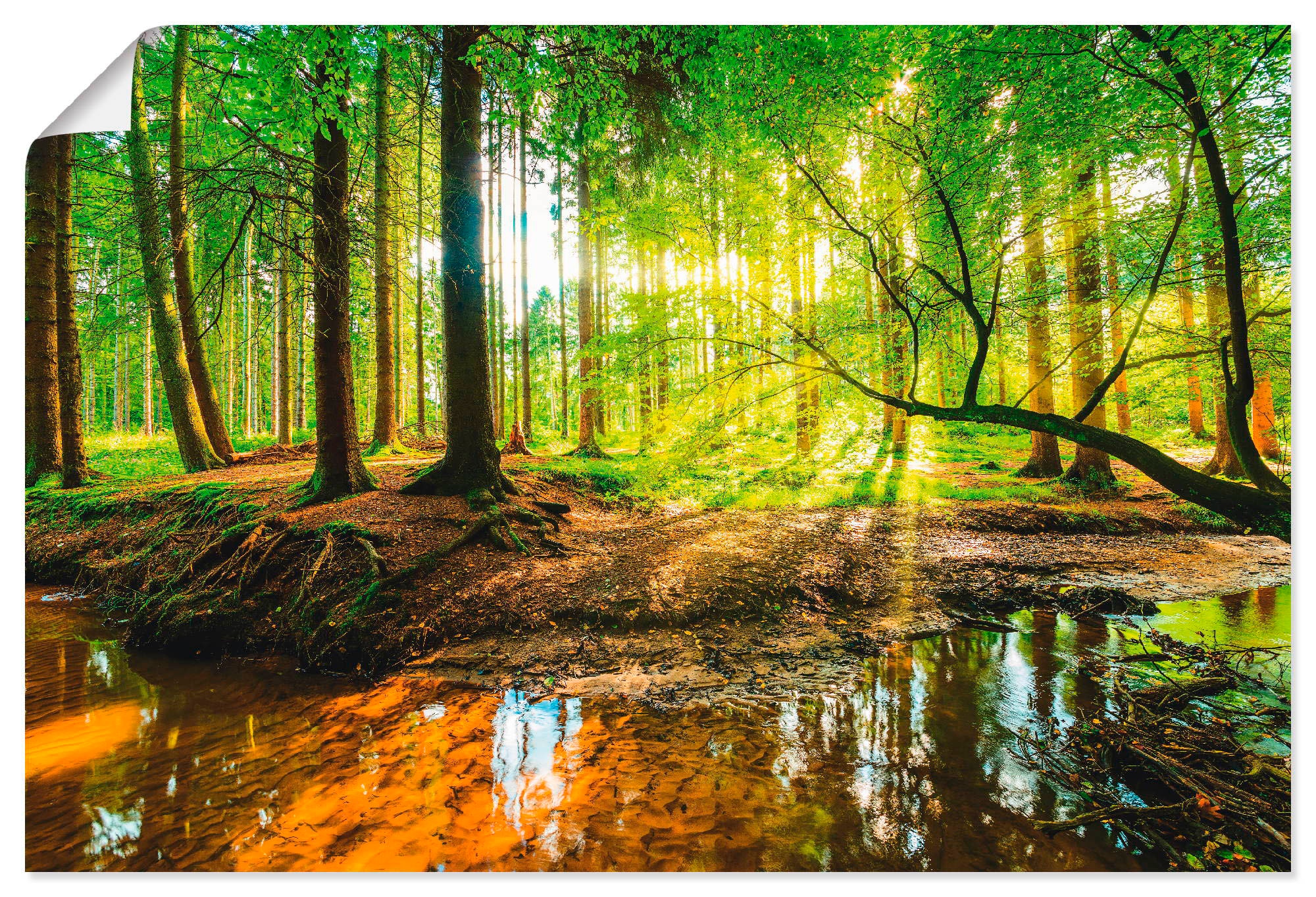 Artland Wandbild "Wald mit Bach" Wald 1 Stk. tlg. als Alubild, Outdoorbild, günstig online kaufen