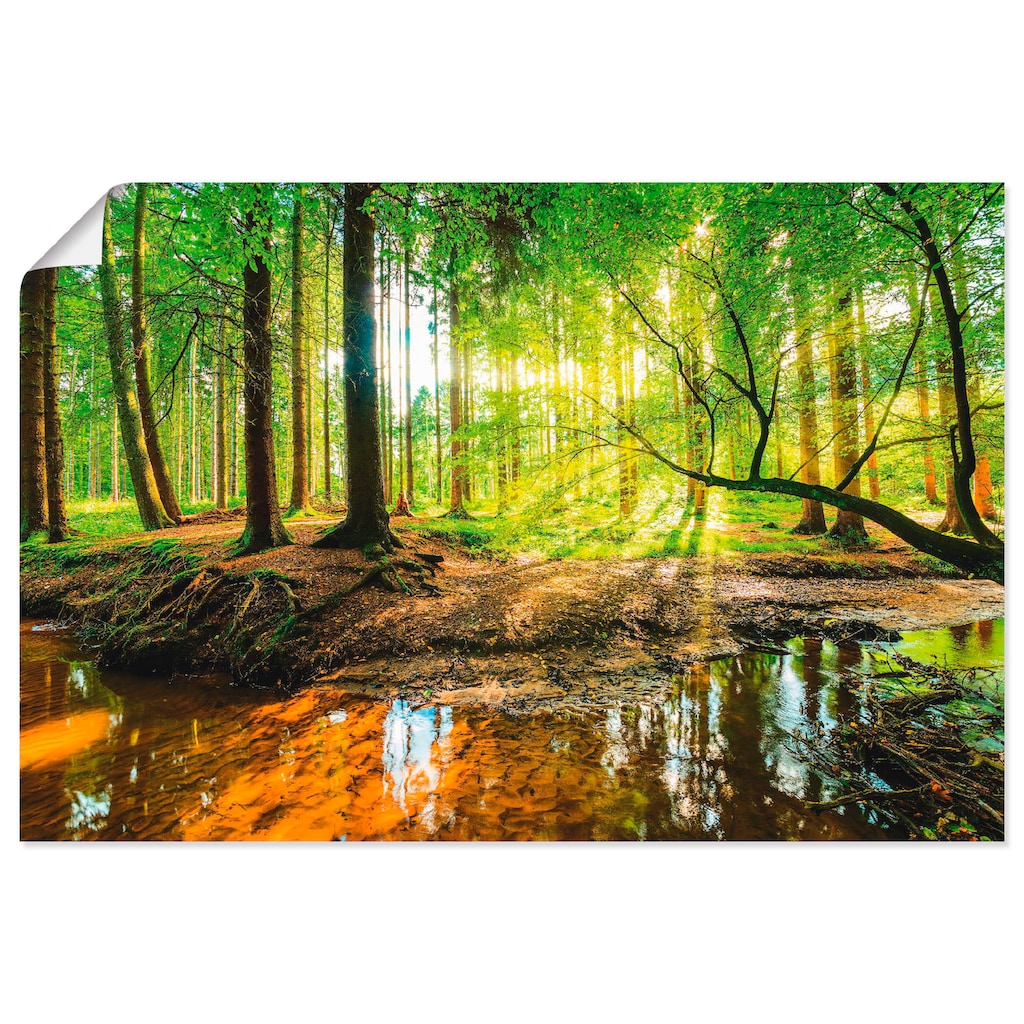 Artland Wandbild »Wald mit Bach«, Wald, (1 St.)