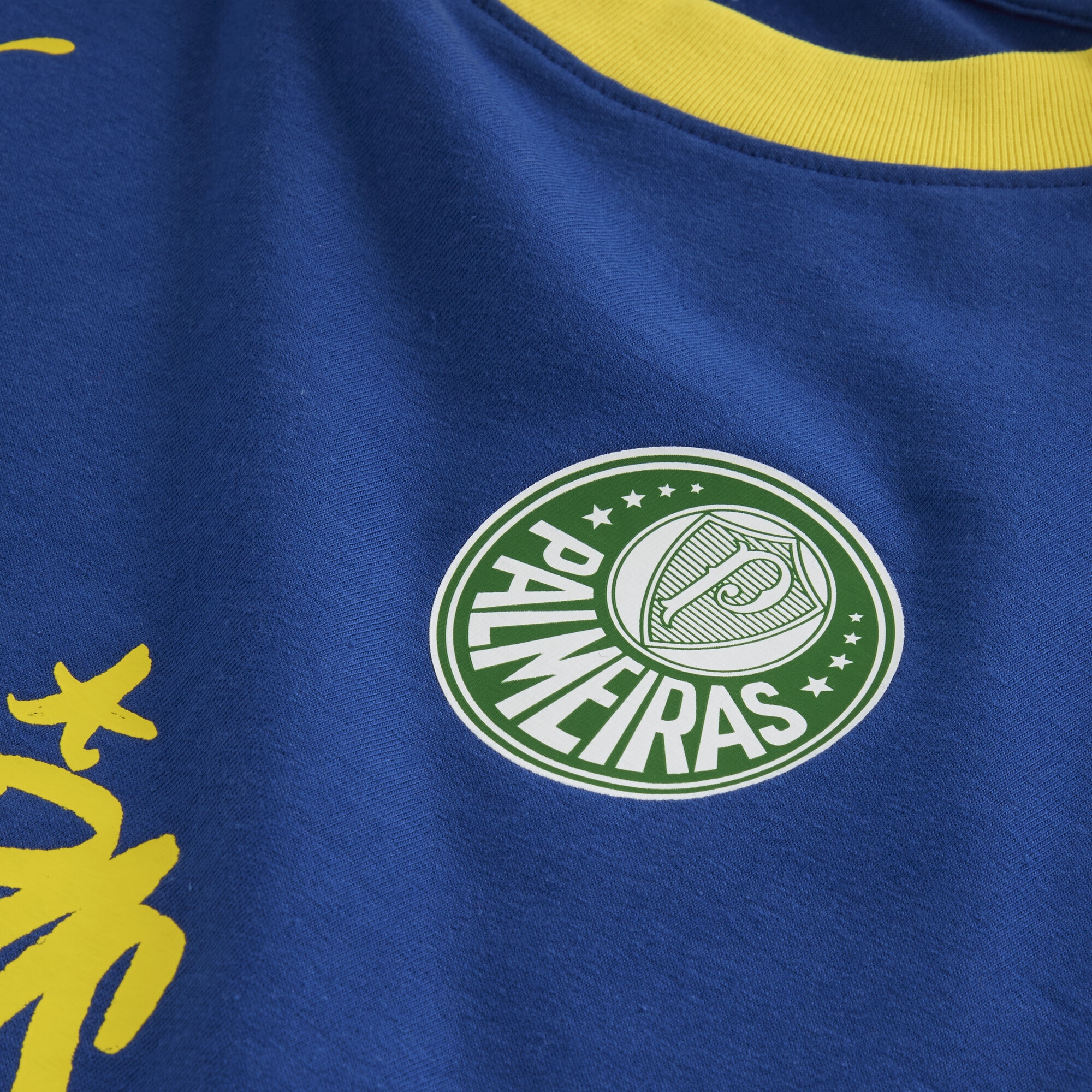 PUMA Trainingsshirt »PUMA HOOPS x SE PALMEIRAS Basketballshirt Herren«