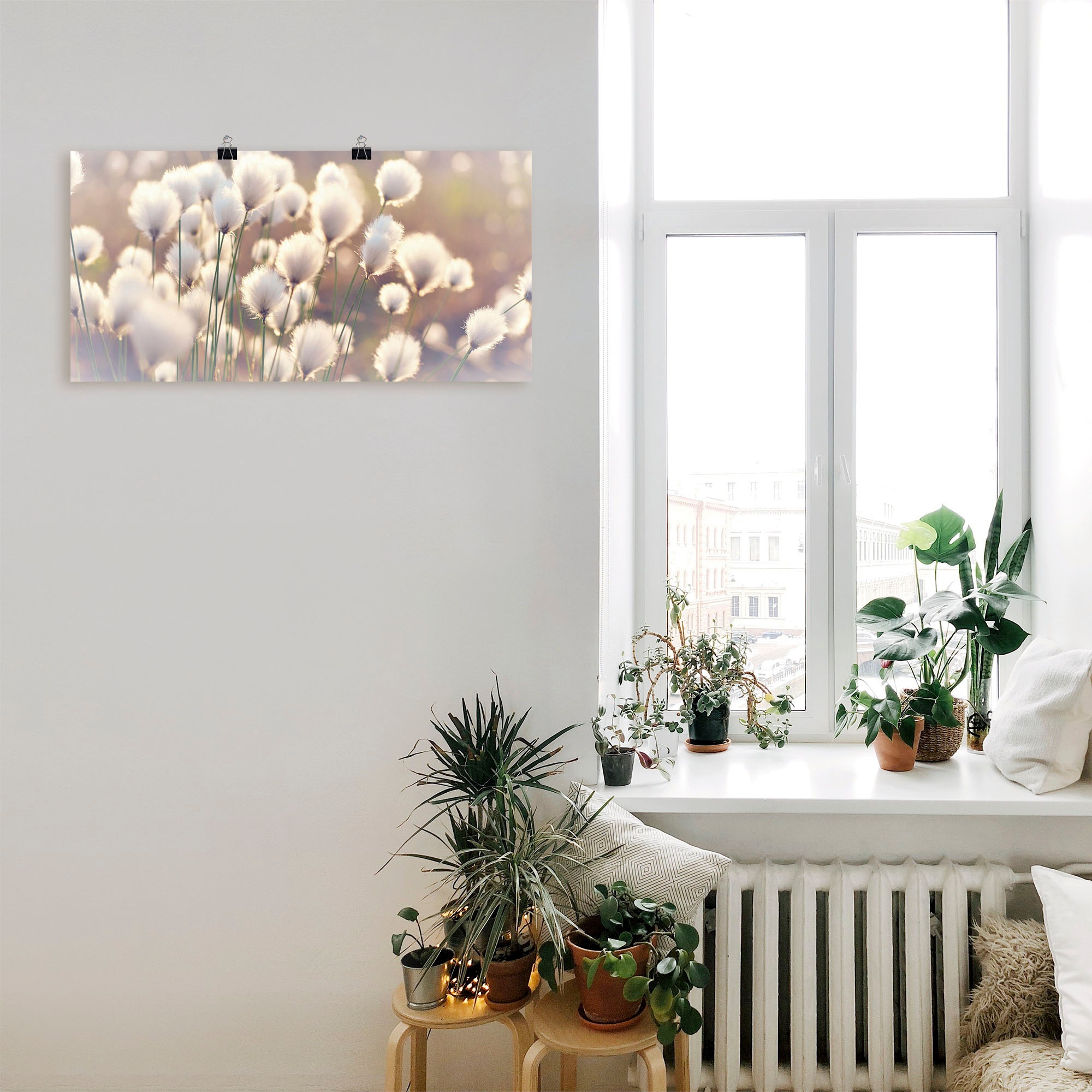 Artland Wandbild "Wollgraszauber im Moor" Gräser 1 Stk. tlg. als Alubild, L günstig online kaufen