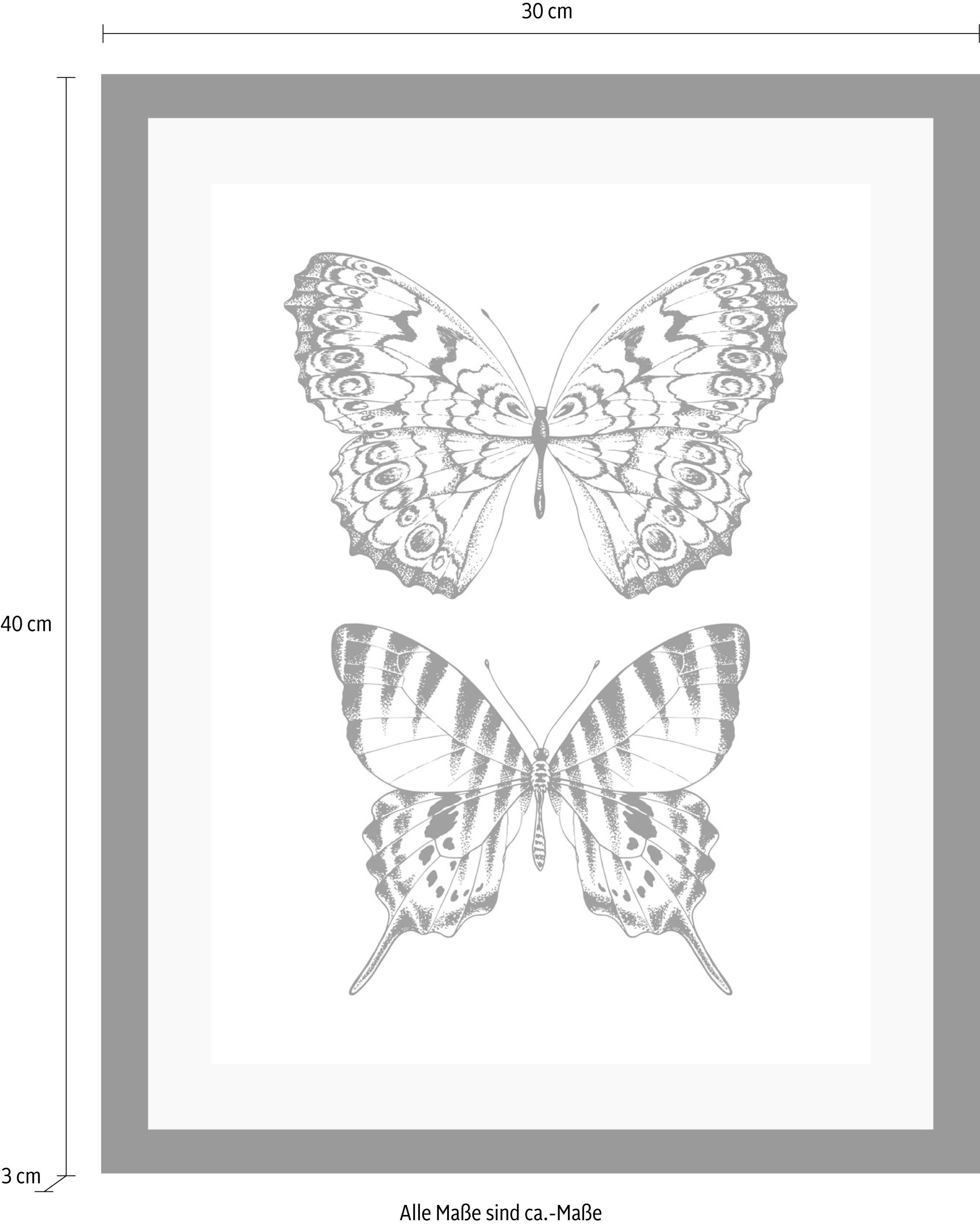 queence Bild »Schmetterlinge« Insekten | Kunst | Schmetterlinge | Schwarz-Weiß | Tiere HD Premium Poster-Druck inkl. Holzrahmen