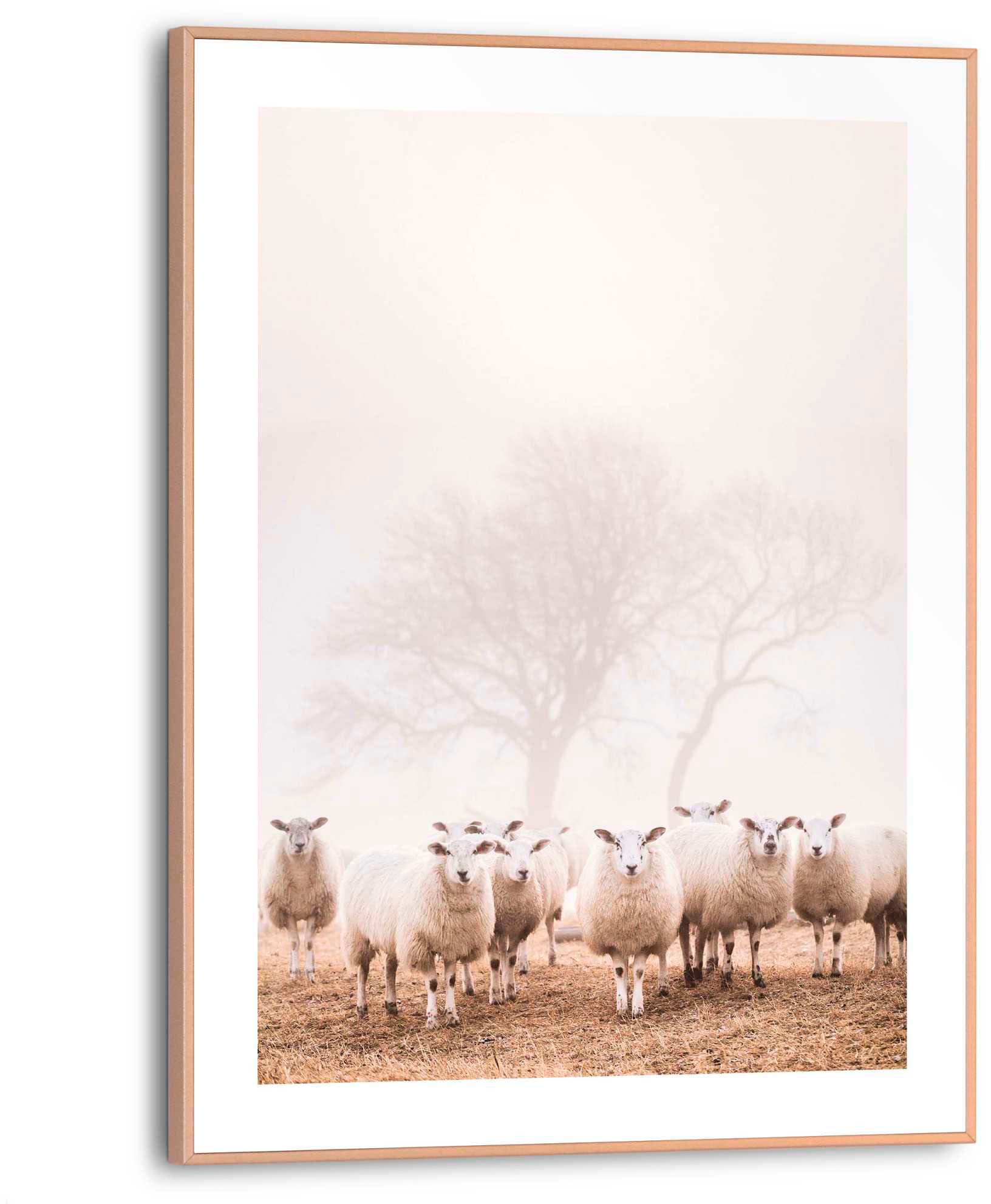 Reinders! Poster »Schafe im Nebel« bestellen | BAUR