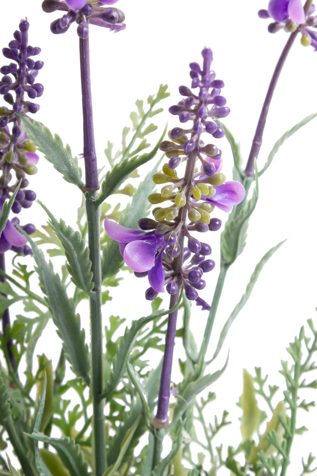 BAUR kaufen Botanic-Haus | Künstliche »Lavendel« Zimmerpflanze