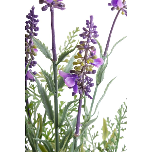 Botanic-Haus Künstliche Zimmerpflanze »Lavendel« kaufen | BAUR