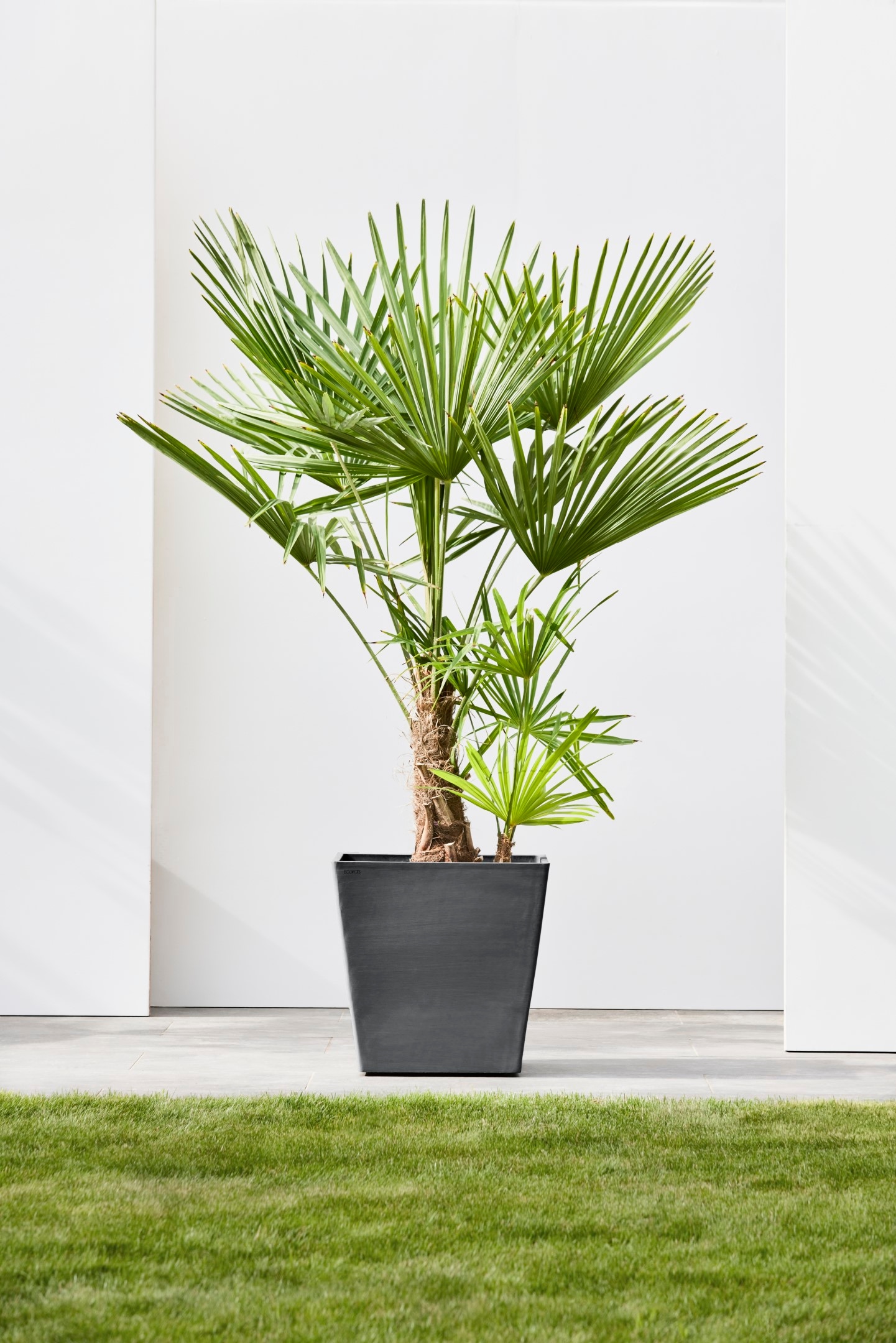 ECOPOTS Blumentopf »Rotterdam mit Rollen 50 Dunkelgrau« für innen und außen: frostsicher, bruchsicher und lichtbeständig