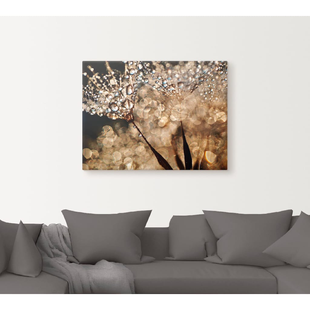 Artland Wandbild »Pusteblume Goldschimmer«, Blumen, (1 St.)