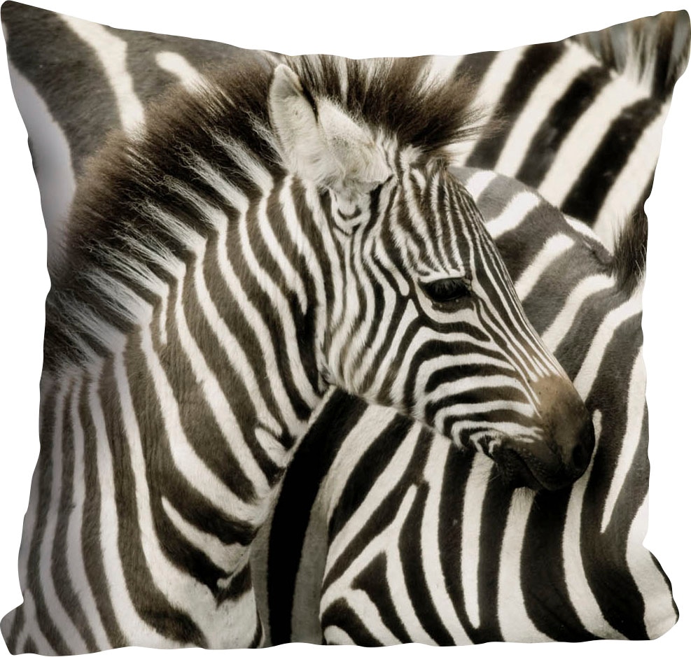 queence Dekokissen "Richard" Kissenhülle,Zebras,Schwarz-Weiß,Tiere,Streifen günstig online kaufen
