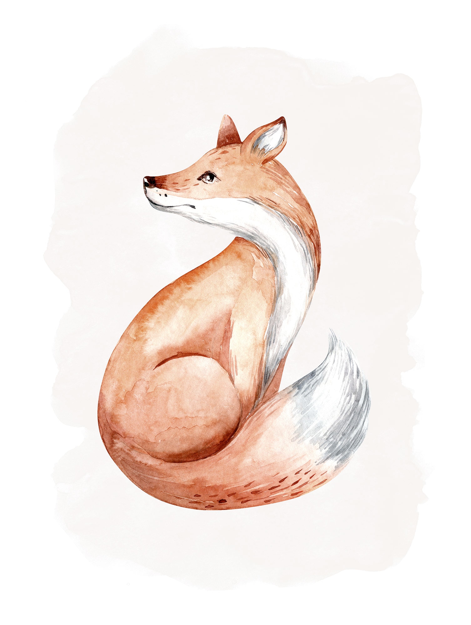 »Curious St.) Poster Fox«, (1 Komar bestellen | BAUR