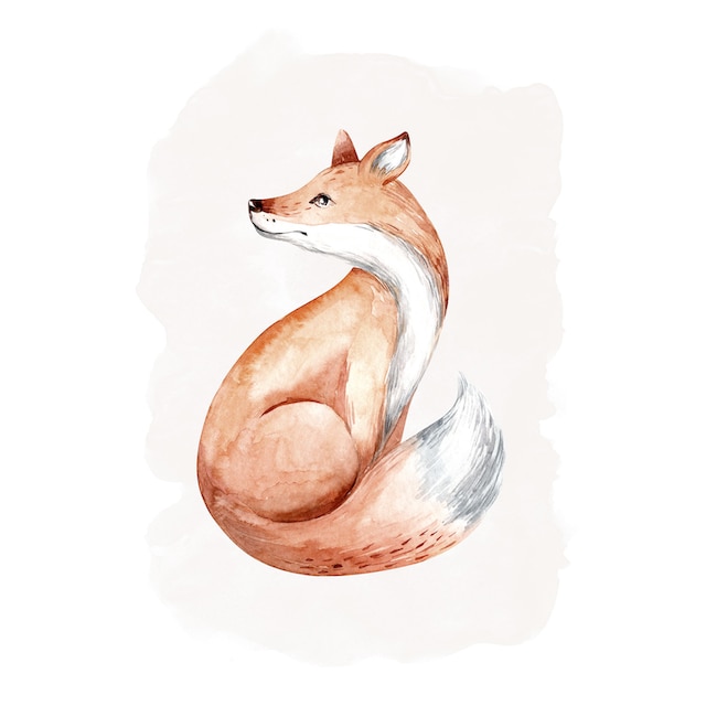 Komar Poster »Curious Fox«, (1 St.) bestellen | BAUR