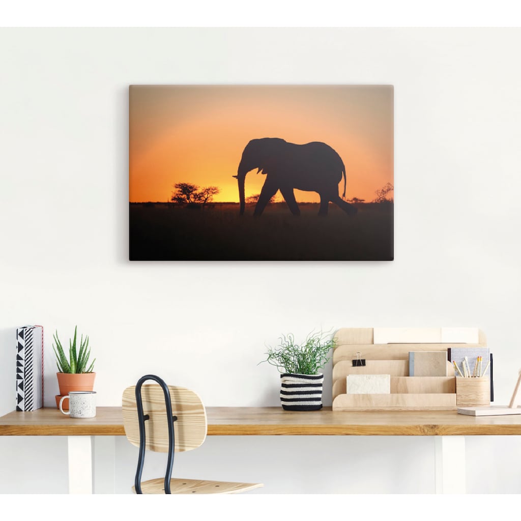 Artland Leinwandbild »Afrikanischer Elefant im Sonnenuntergang«, Wildtiere, (1 St.)
