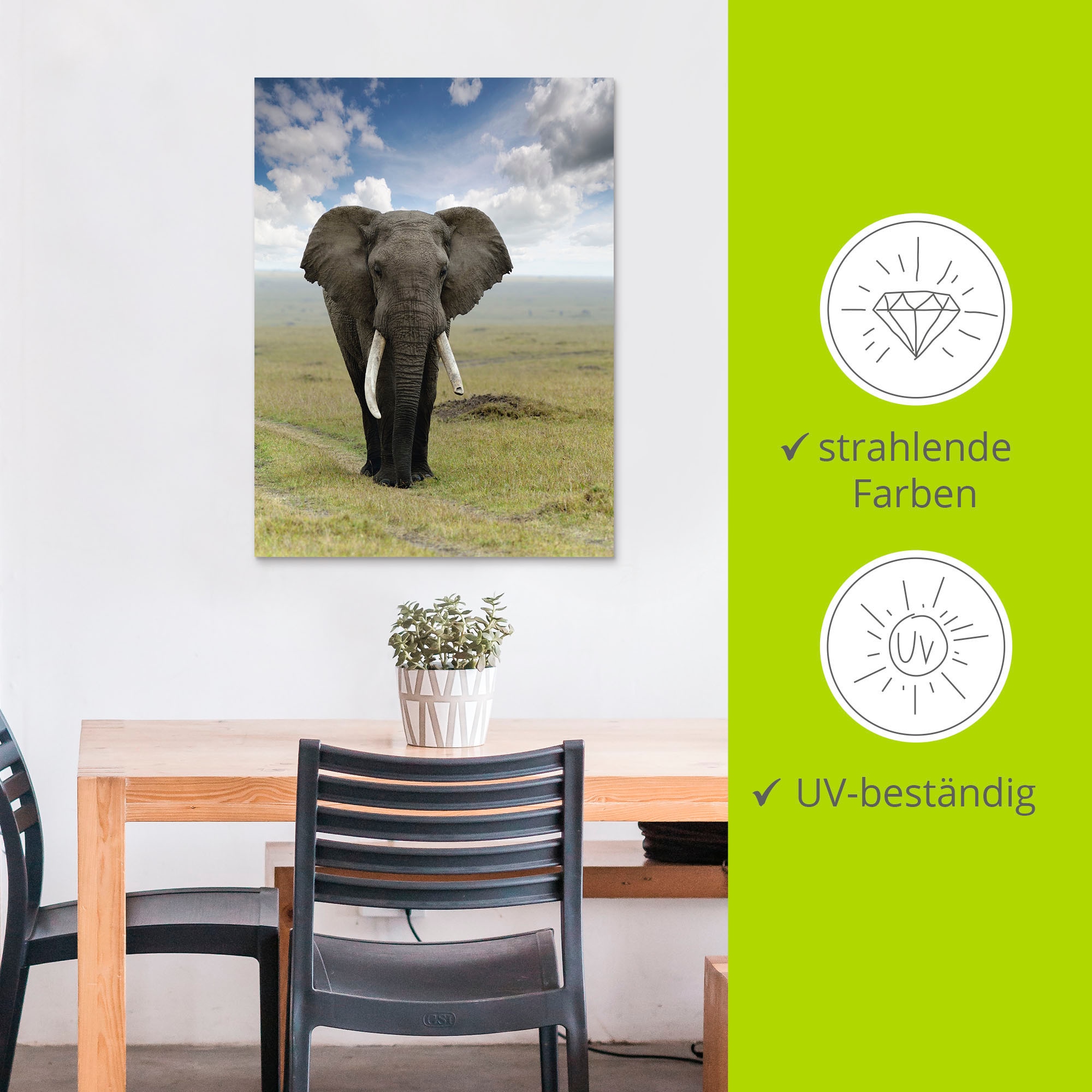 Artland Wandbild »Elefant« Wildtiere 1 Stk. tlg. als Alubild, Outdoorbild, Leinwandbild, Poster in verschied. Größen