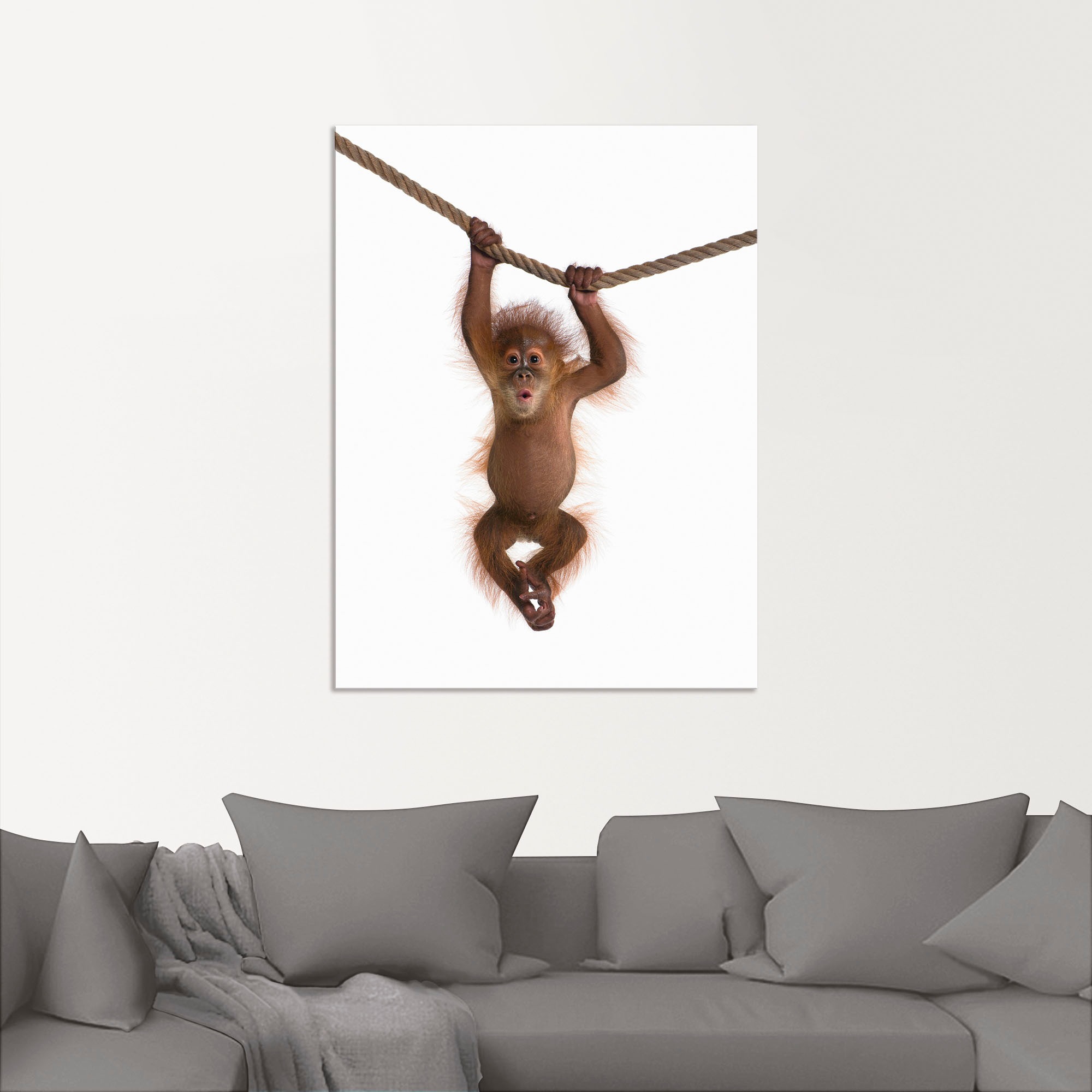 Artland Wandbild »Baby Orang Utan hängt an Seil II«, Wildtiere, (1 St.), als Alubild, Outdoorbild, Leinwandbild, Poster, Wandaufkleber