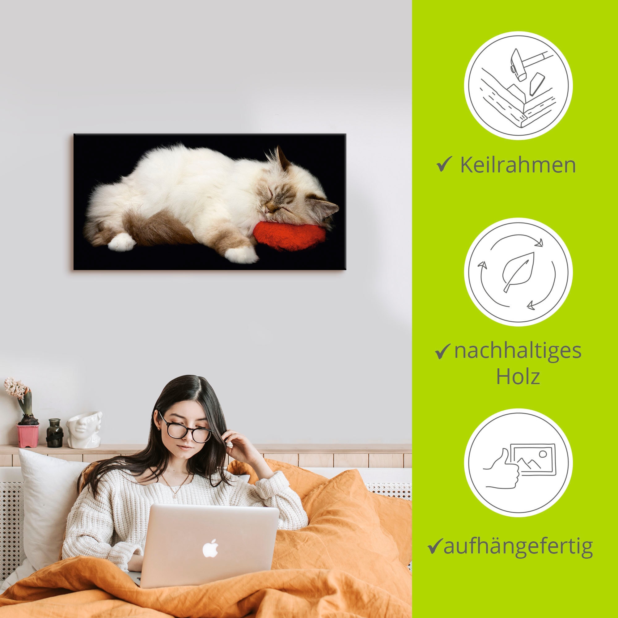 Artland Wandbild »Müde Katze«, Haustiere, (1 St.), als Leinwandbild, Poster, Wandaufkleber in verschied. Größen