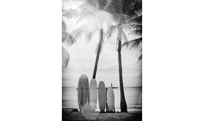 Acrylglasbild »Surfboards«