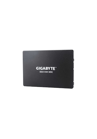 Gigabyte Interne SSD »GP-GSTFS31480GNTD«