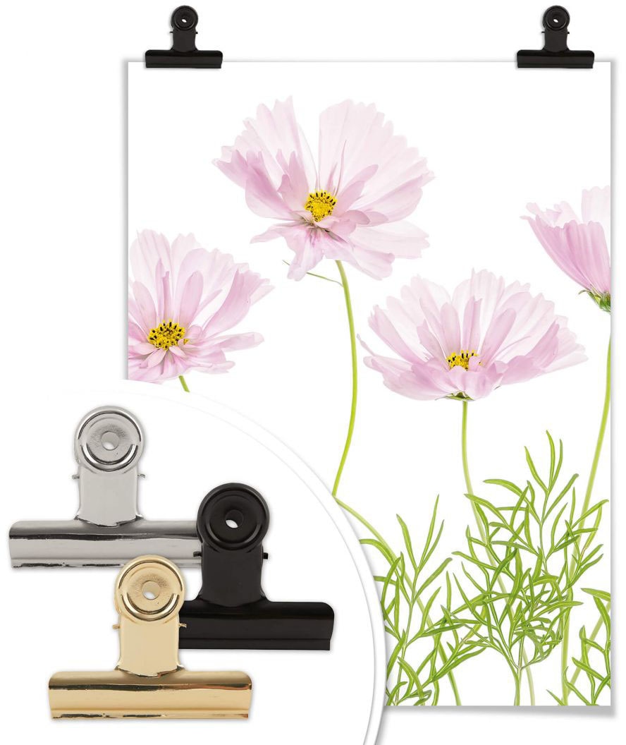 Wall-Art Poster »Sommerblume«, Blumen, BAUR St.) | (1 bestellen