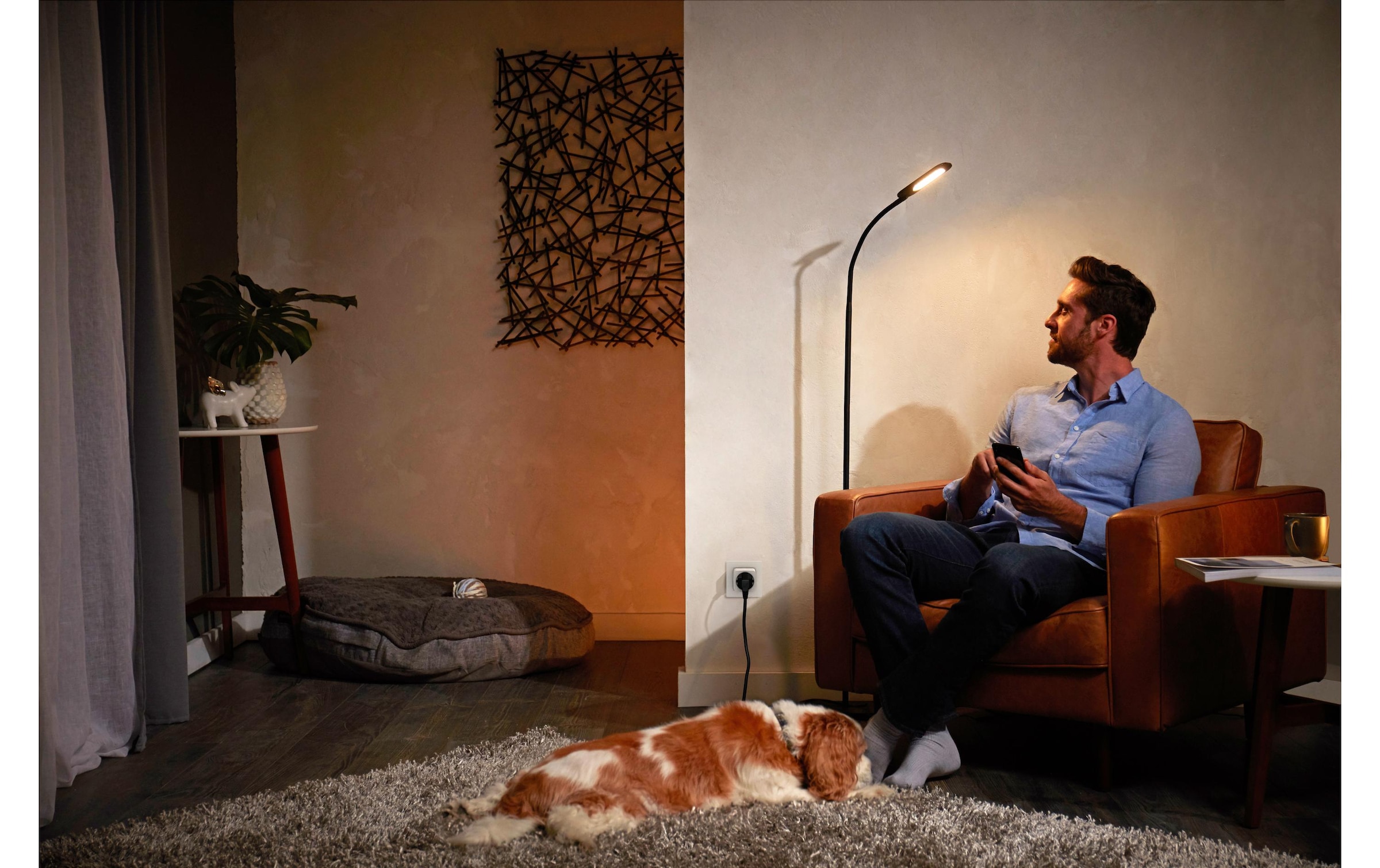 Philips Hue Steckdose »Hue Zubehör Smart Plug Steckdose 3er Set CH Weiss, Bluetooth« 3 Stk. tlg.