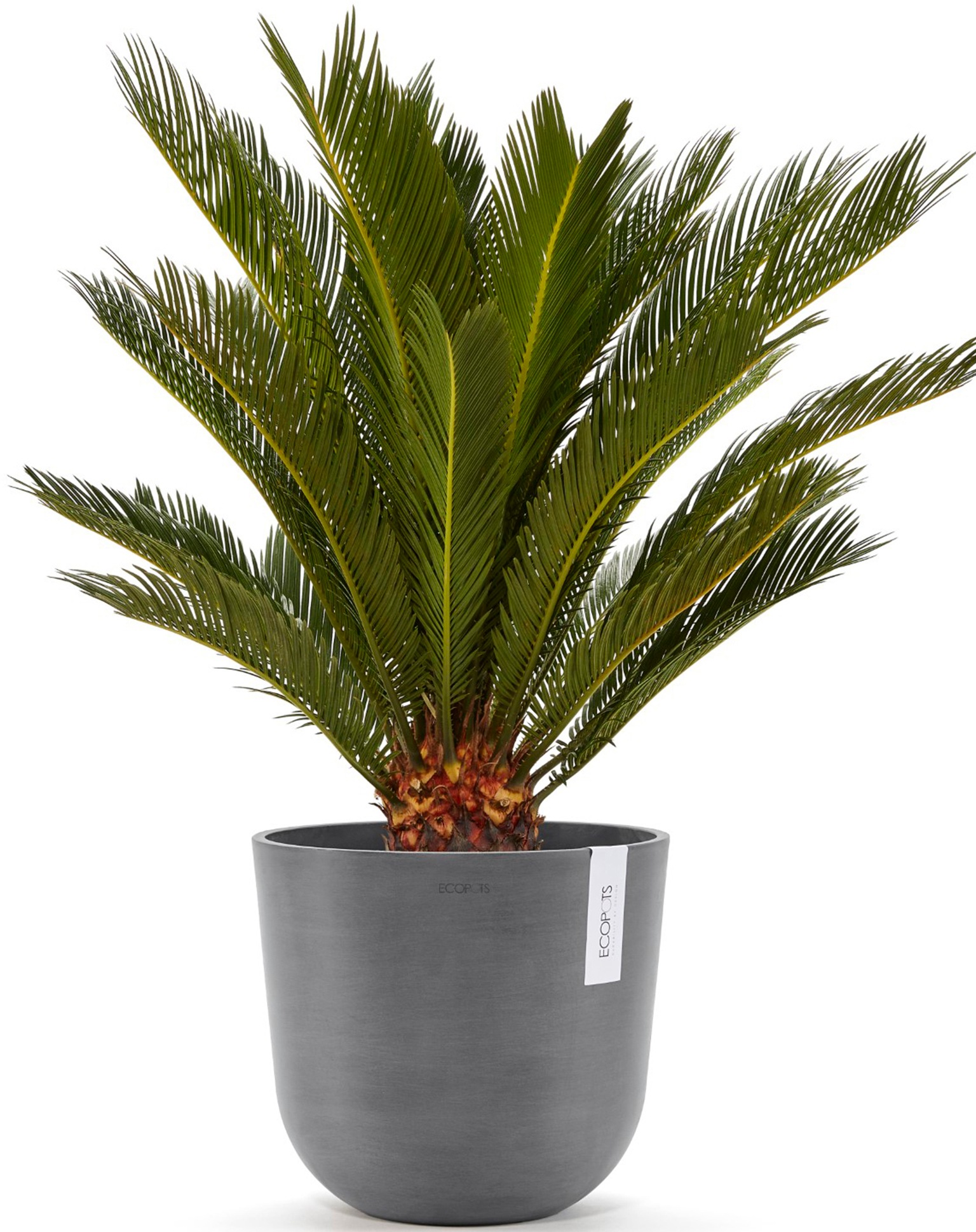 ECOPOTS Blumentopf »Oslo 25 Grau«, für innen und außen: frostsicher, bruchsicher und lichtbeständig