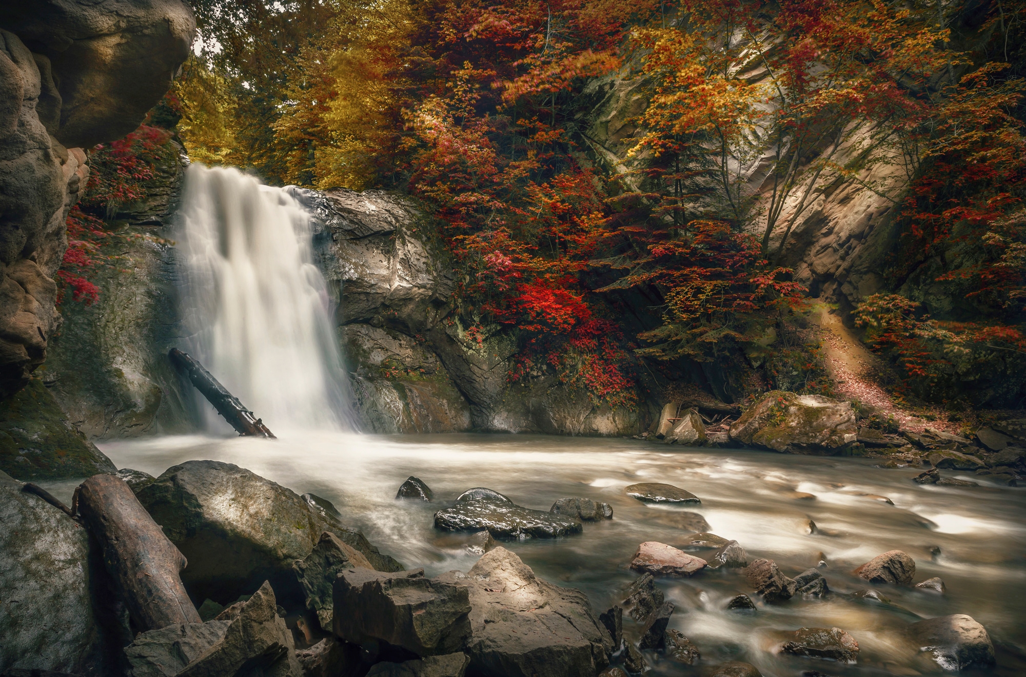 Papermoon Fototapete »WASSERFALL-HERBST WALD MEER FLUSS INSEL STEINE BÄUME«