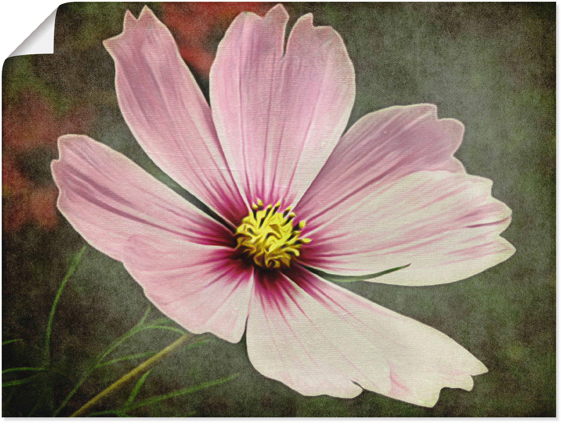 Poster als Blumen, | St.), (1 BAUR Größen »Die in versch. Wandbild Blume«, oder Artland bestellen Leinwandbild, Wandaufkleber