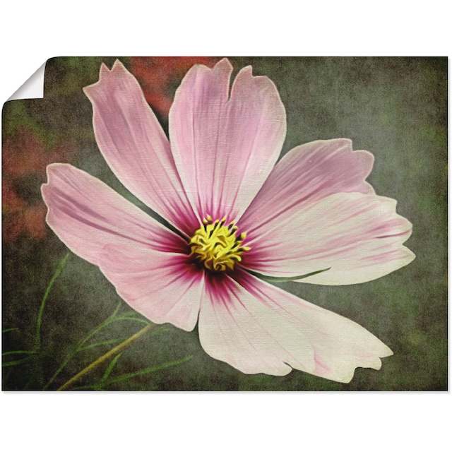 Artland Wandbild »Die Blume«, Blumen, (1 St.), als Leinwandbild,  Wandaufkleber oder Poster in versch. Größen bestellen | BAUR