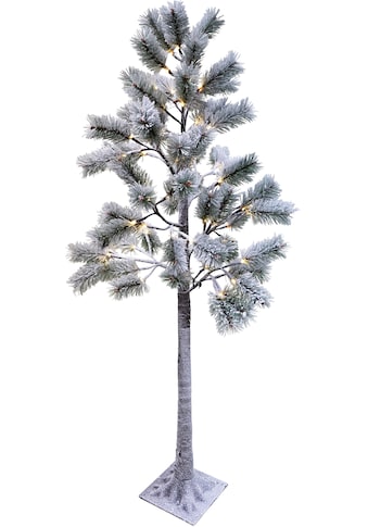 NOOR LIVING Dekolicht »LED Kieferbaum mit Schnee, Weihnachtsdeko aussen«, Warmweiß,... kaufen