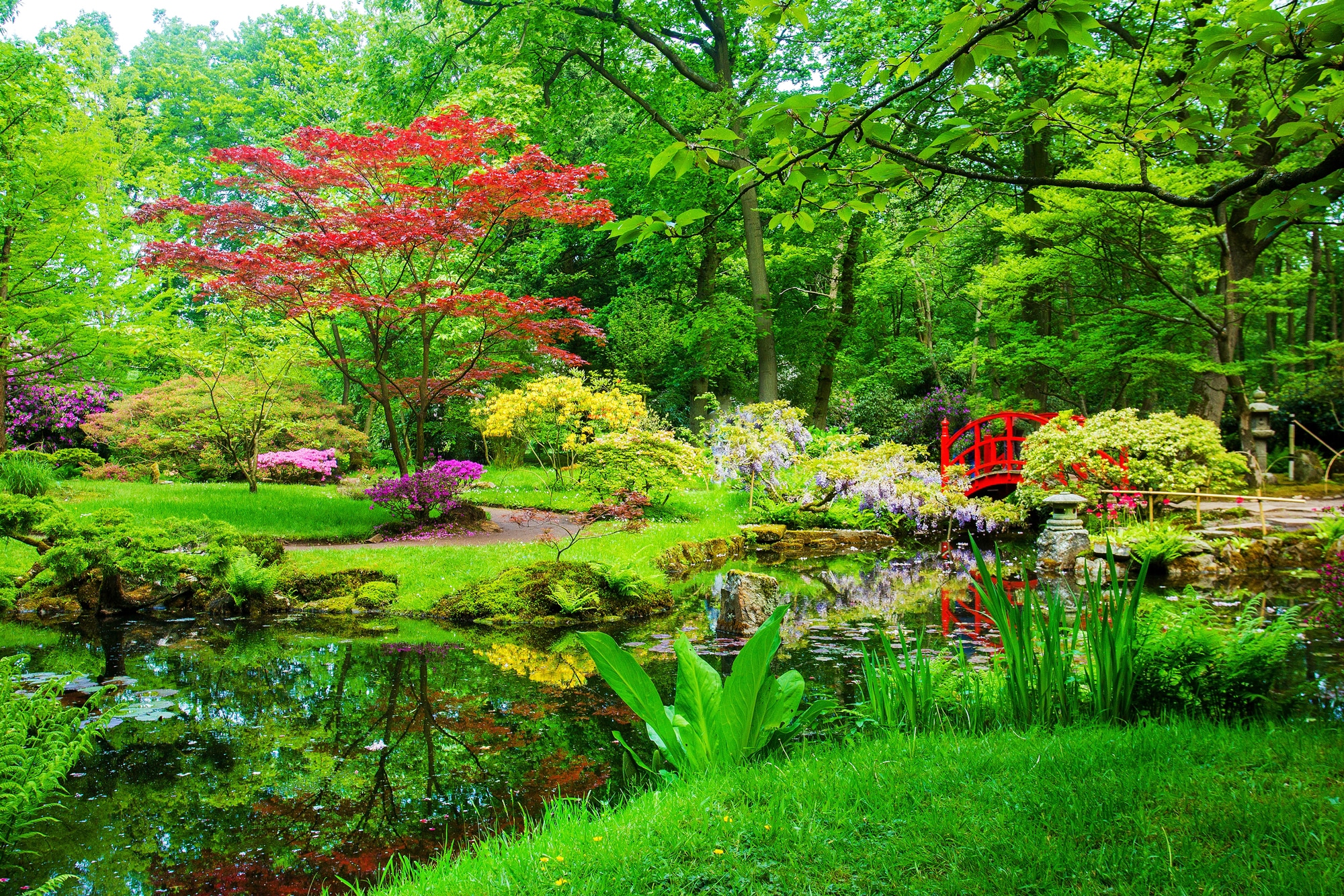 Papermoon Fototapete "GARTEN-BLUMEN BÄUME PFLANZEN STEINE WALD PARK BLÜTEN"