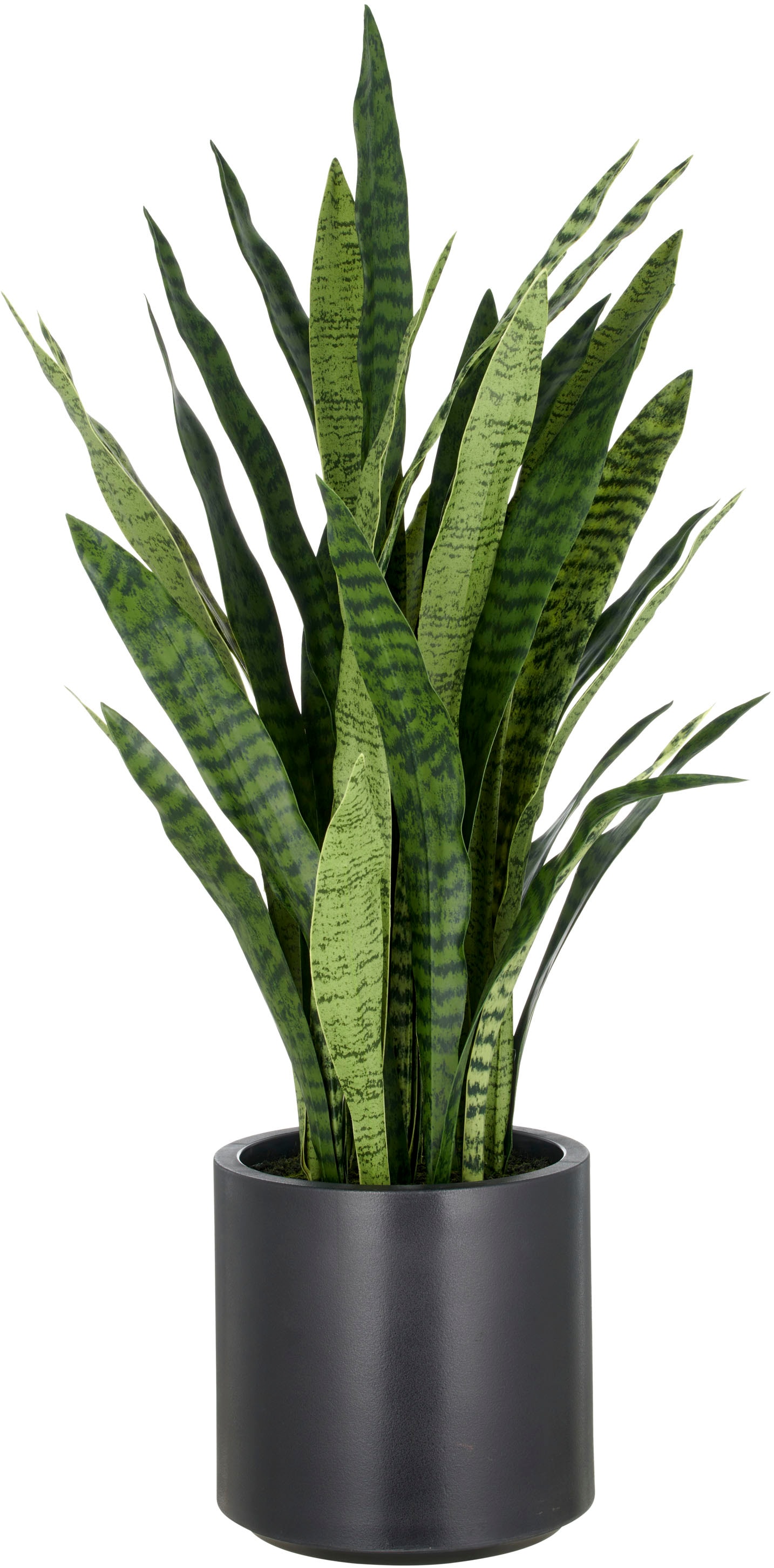 Creativ green Kunstpflanze "Sansevieria zeylanica", im eleganten Topf günstig online kaufen