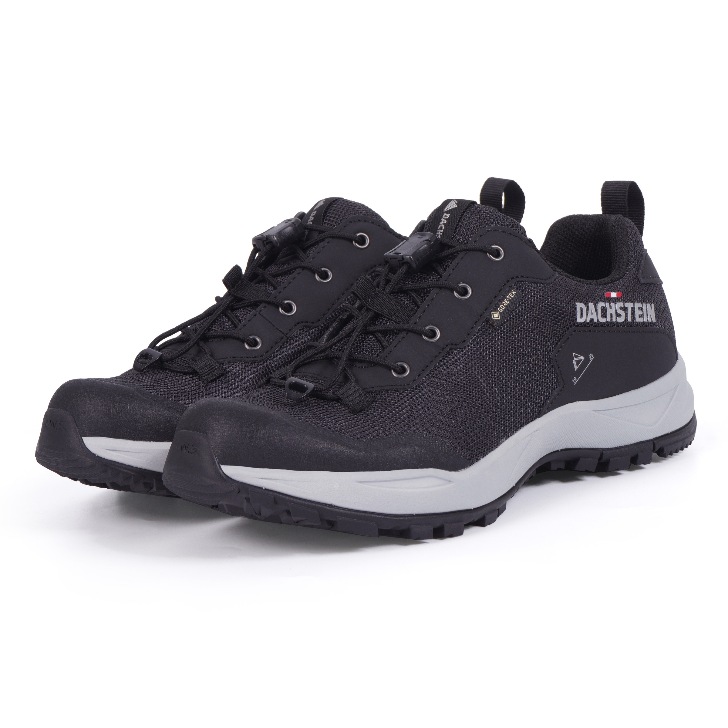 Dachstein Wanderschuh »DELTA ASCENT GTX WMN«, wasserdicht