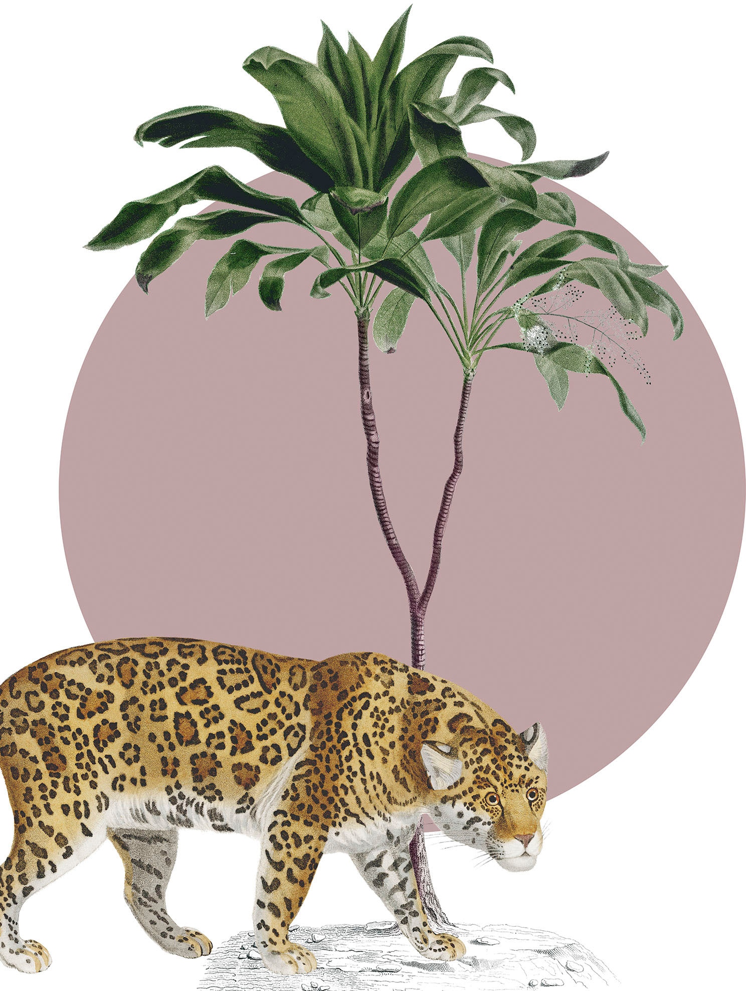 Komar Bild "Botanical Garden Jaguar" Natur 1 Stk. tlg. Wandbild zur Dekorat günstig online kaufen