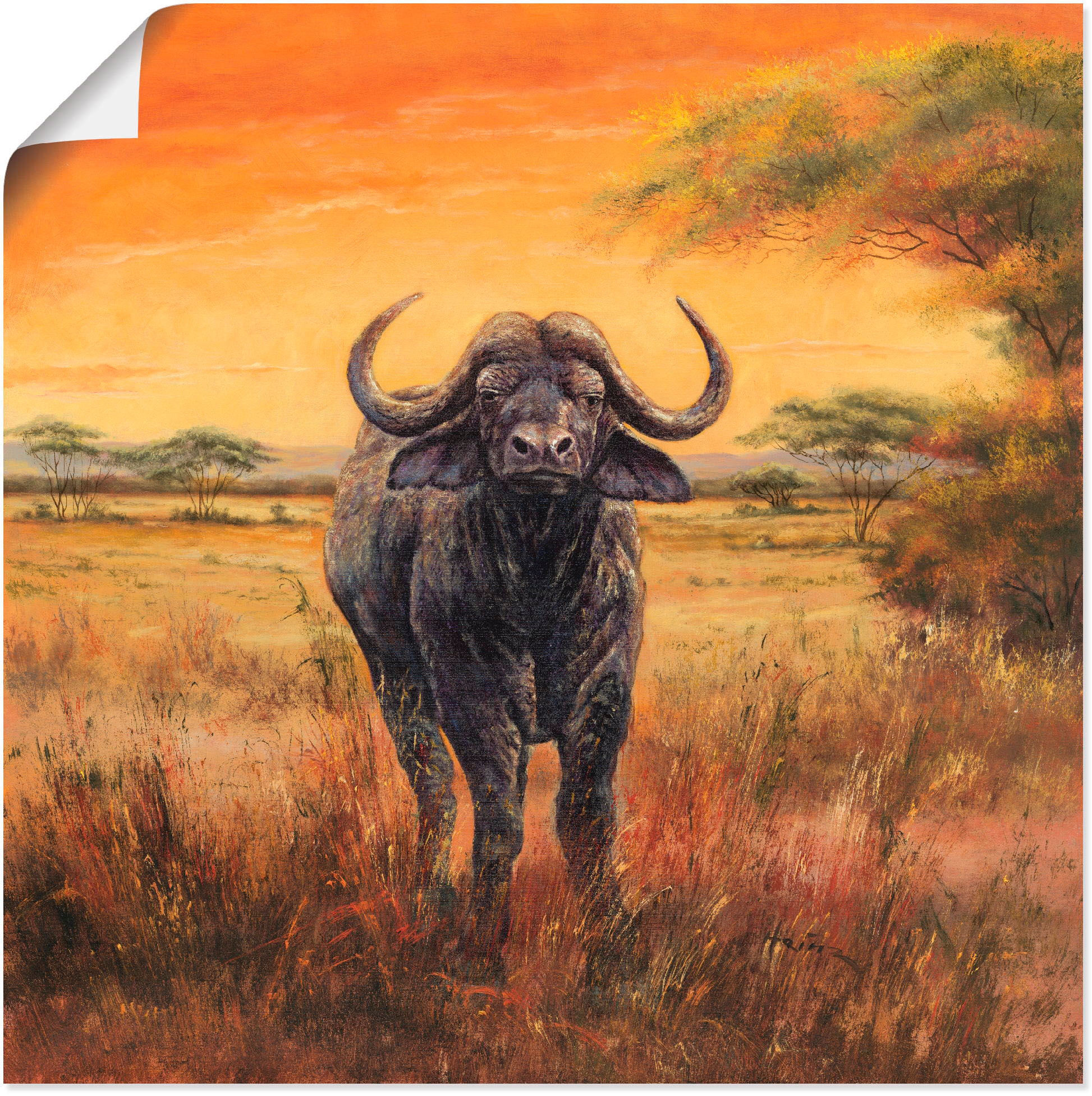 Wandaufkleber versch. »Büffel«, Größen Wildtiere, Wandbild (1 in St.), Poster Artland als Alubild, BAUR | oder kaufen Leinwandbild,