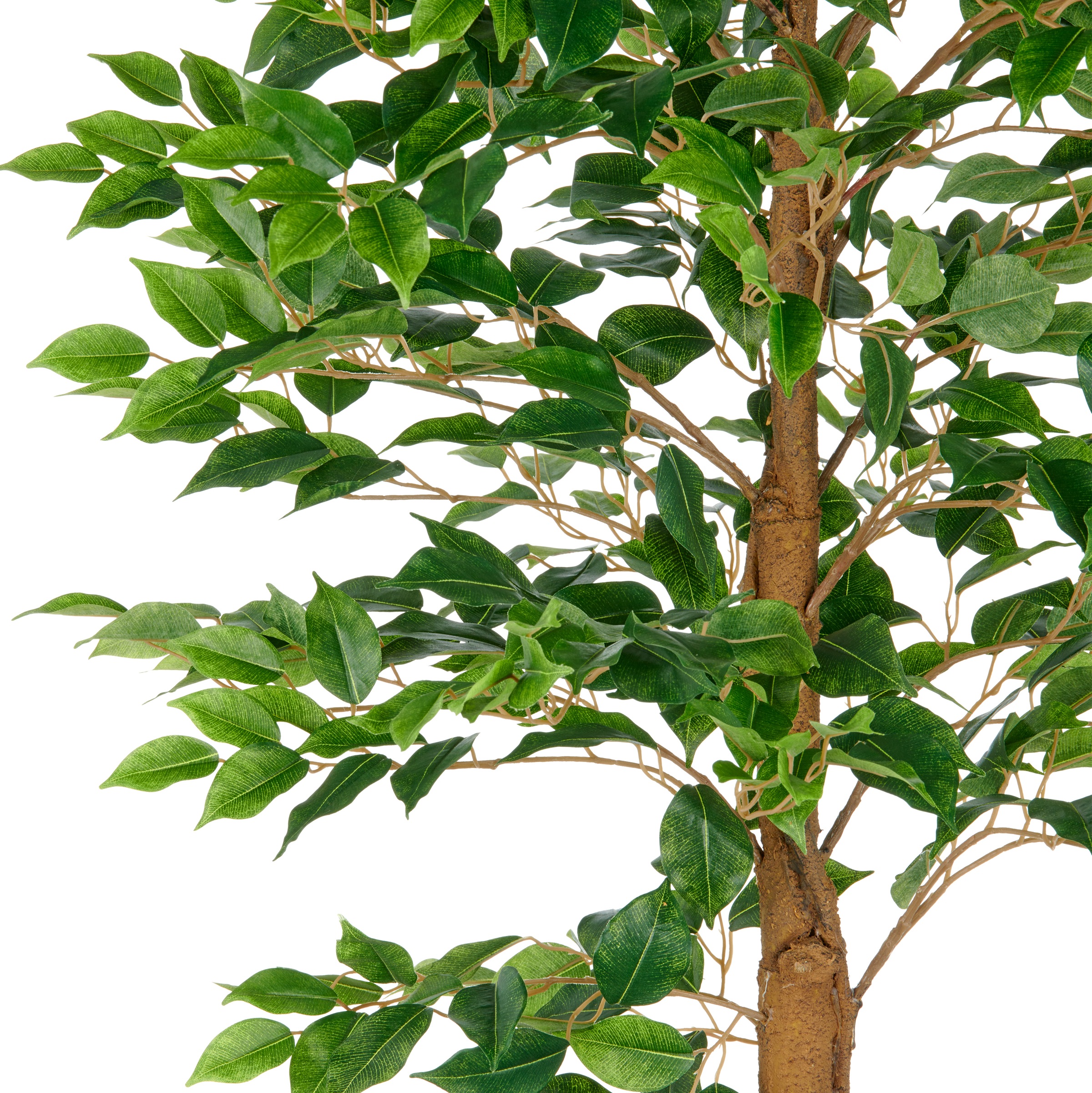 Creativ green Kunstbaum "Ficus Benjamina", mit naturgetreuem Blattwerk und günstig online kaufen