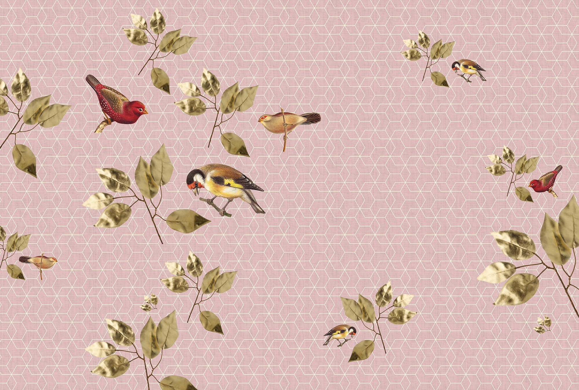 living walls Fototapete "Walls by Patel Brilliant Birds 1" glatt Vlies, Wand, Schräge