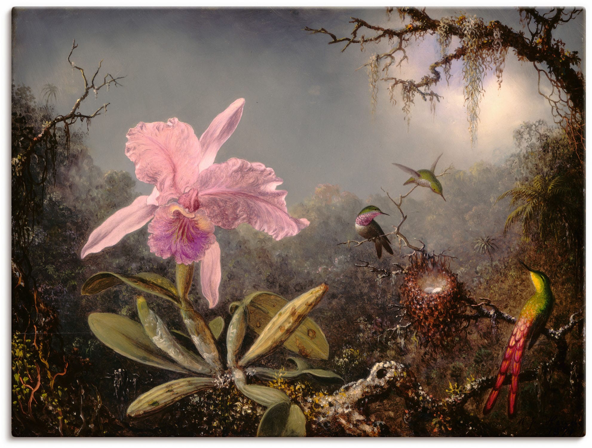 Artland Leinwandbild "Cattleya Orchidee und drei Kolibris." Blumenbilder 1 Stk. tlg. auf Holzrahmen gespannt