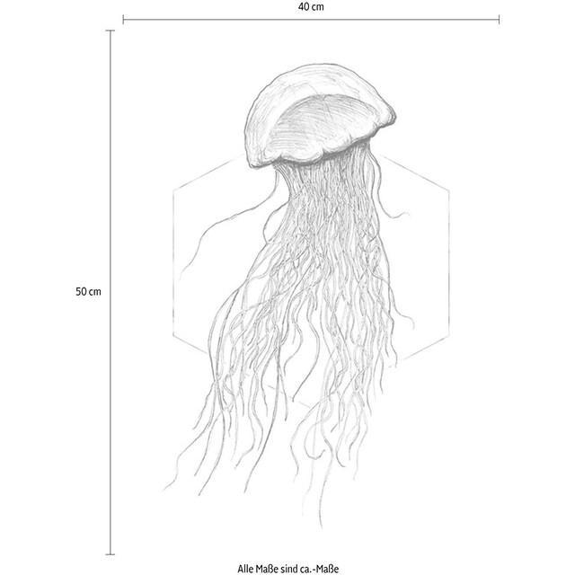 St.), (1 Poster Kinderzimmer, White«, Tiere, | »Jellyfish Schlafzimmer, BAUR Wohnzimmer Komar