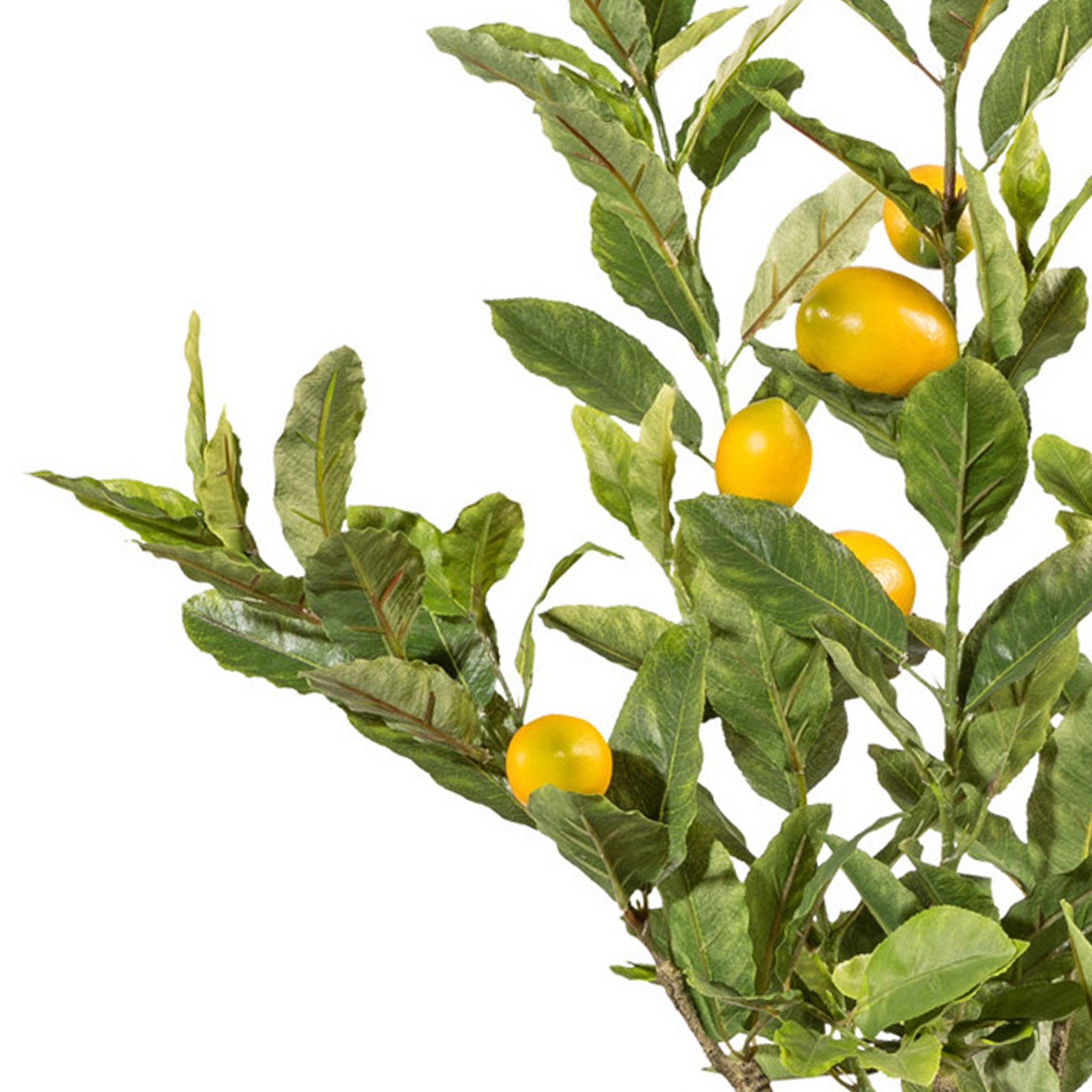 Thumbnail - Creativ green Kunstbaum "Zitrone" mit detailgetreuer Gestaltung