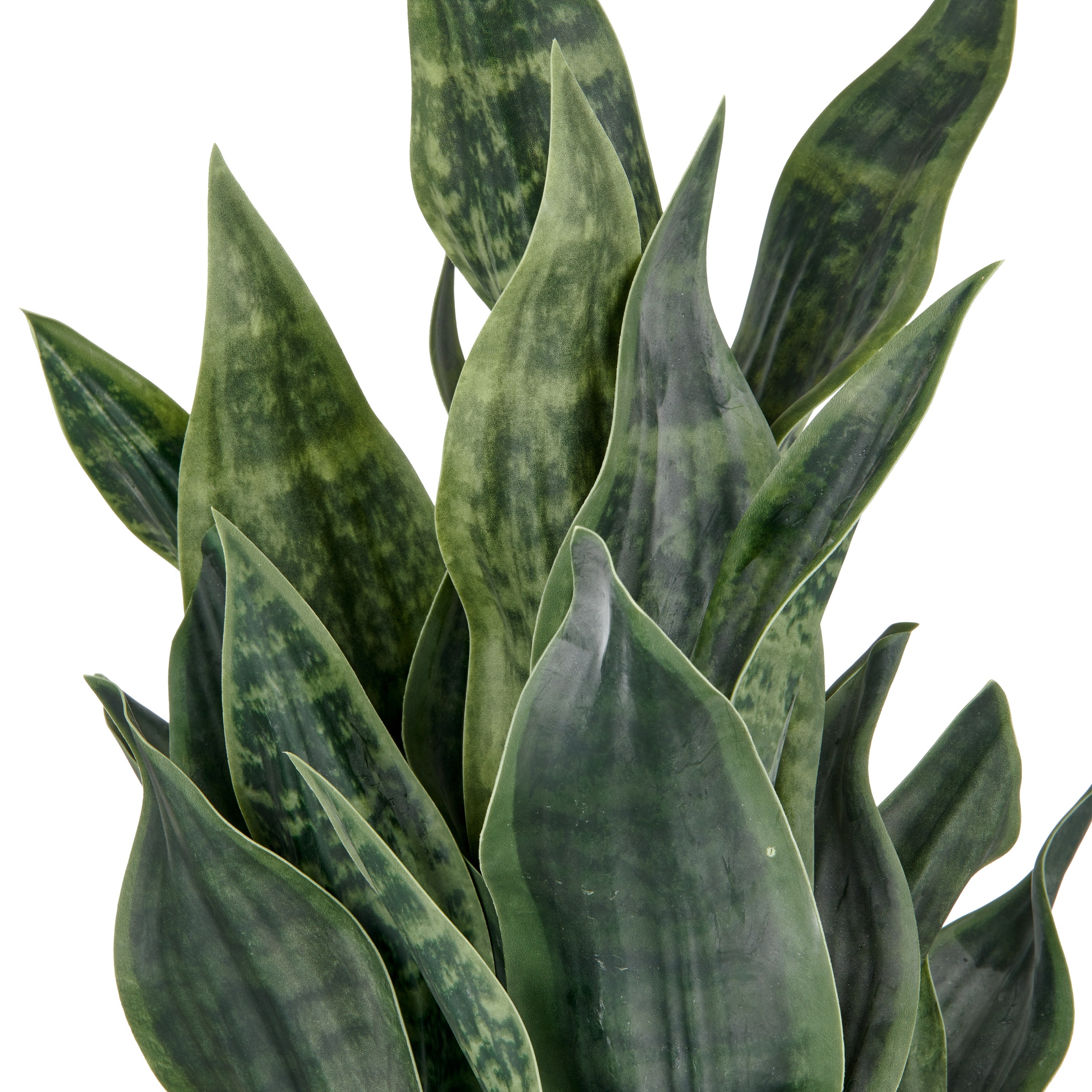 Creativ green Kunstpflanze "Sanseveria Grey Stripe" im eleganten Pflanzgefä günstig online kaufen