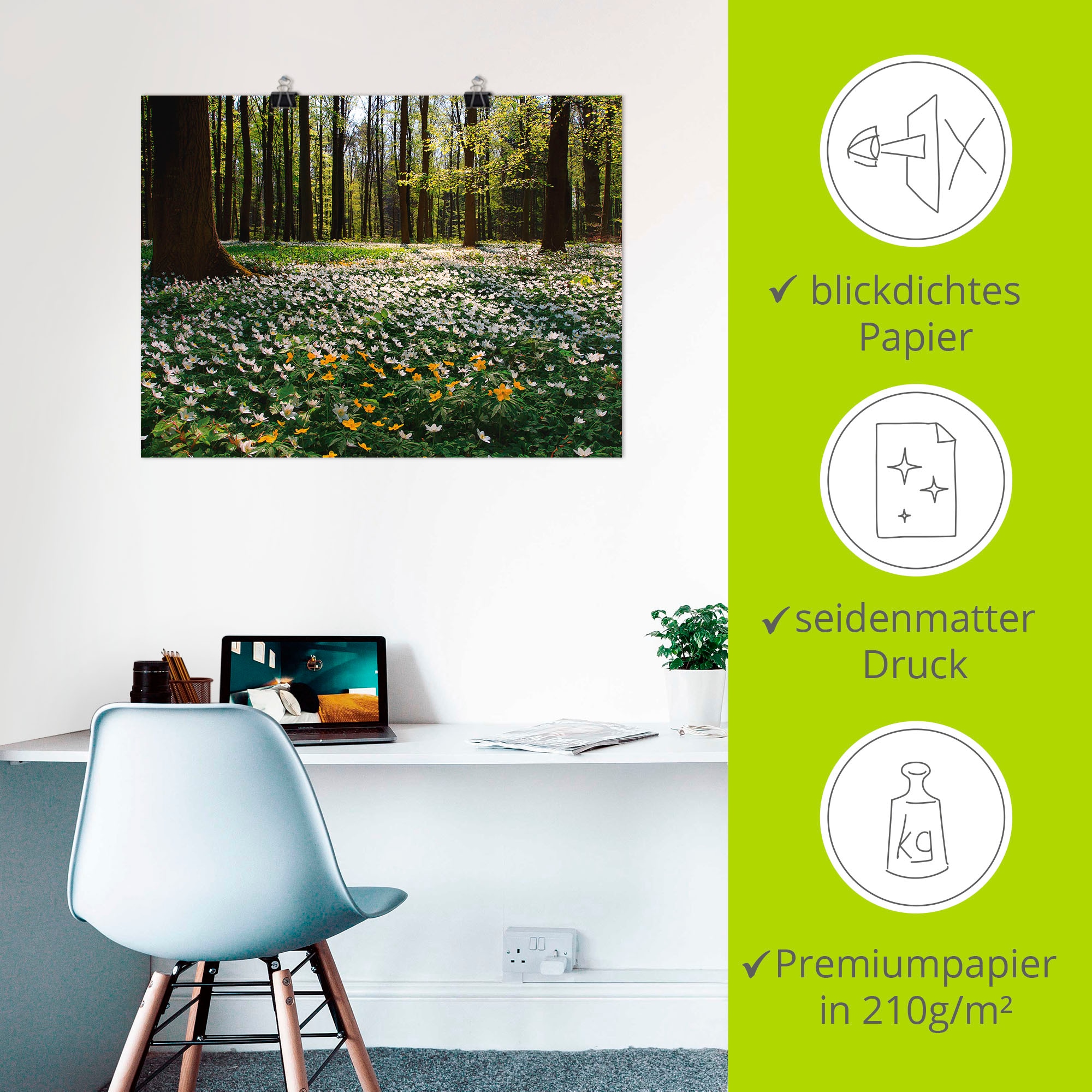 Artland Wandbild »Frühlingswald bedeckt mit Windröschen« Wald 1 Stk. tlg. als Leinwandbild, Poster in verschied. Größen