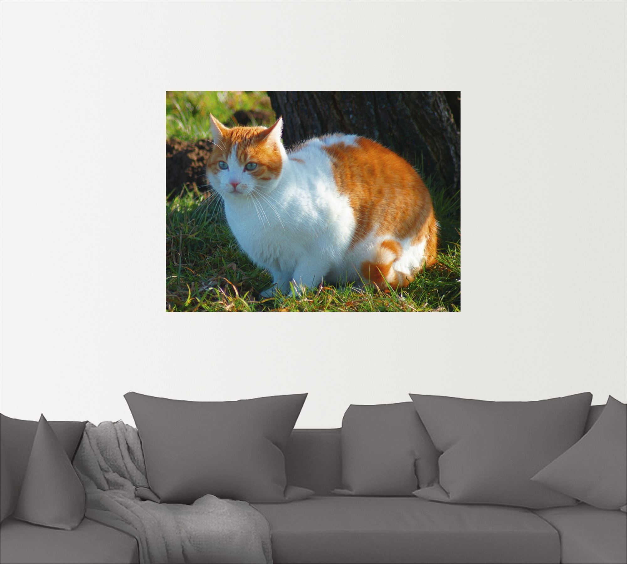 Artland Wandfolie »Entspannte Katze«, Haustiere, (1 St.), selbstklebend