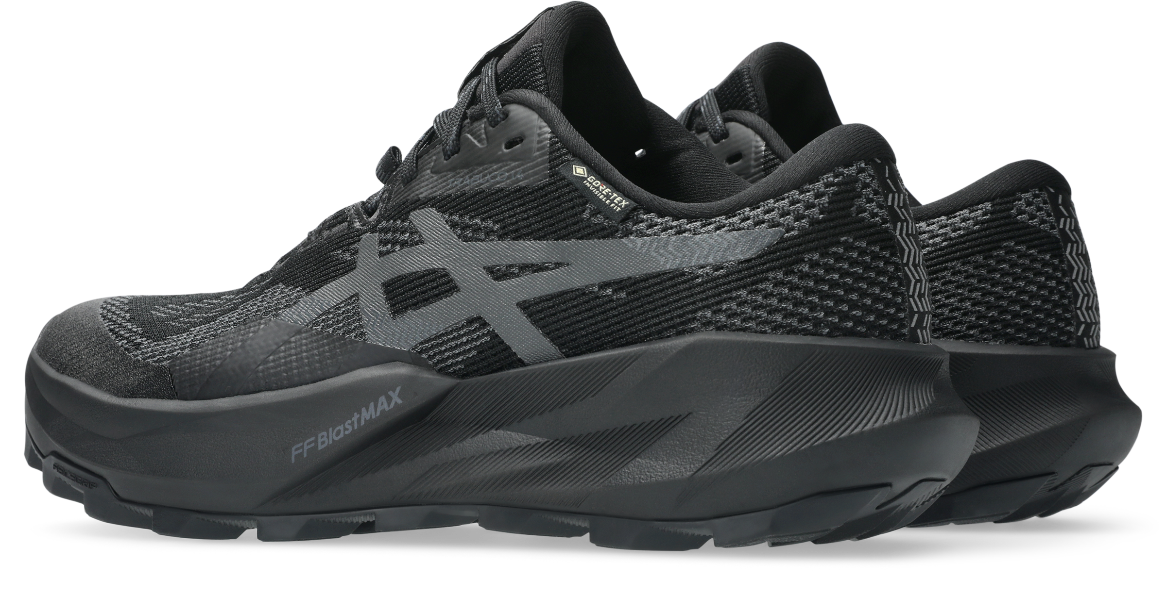 Asics Trailrunningschuh »TRABUCO 14 GTX«  wasserdicht