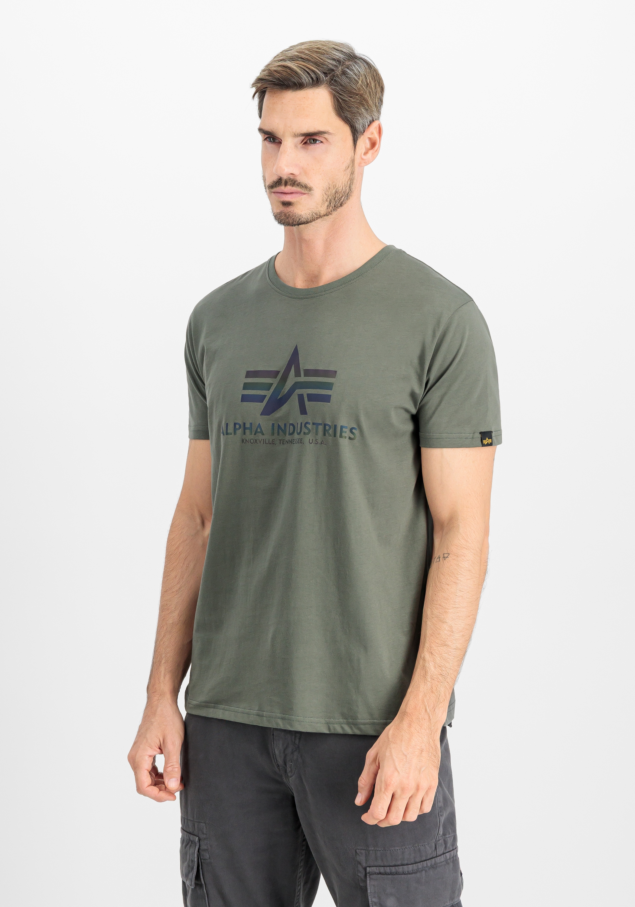 Alpha Industries T-Shirt »Basic T-Shirt BL Rainbow Ref.«
