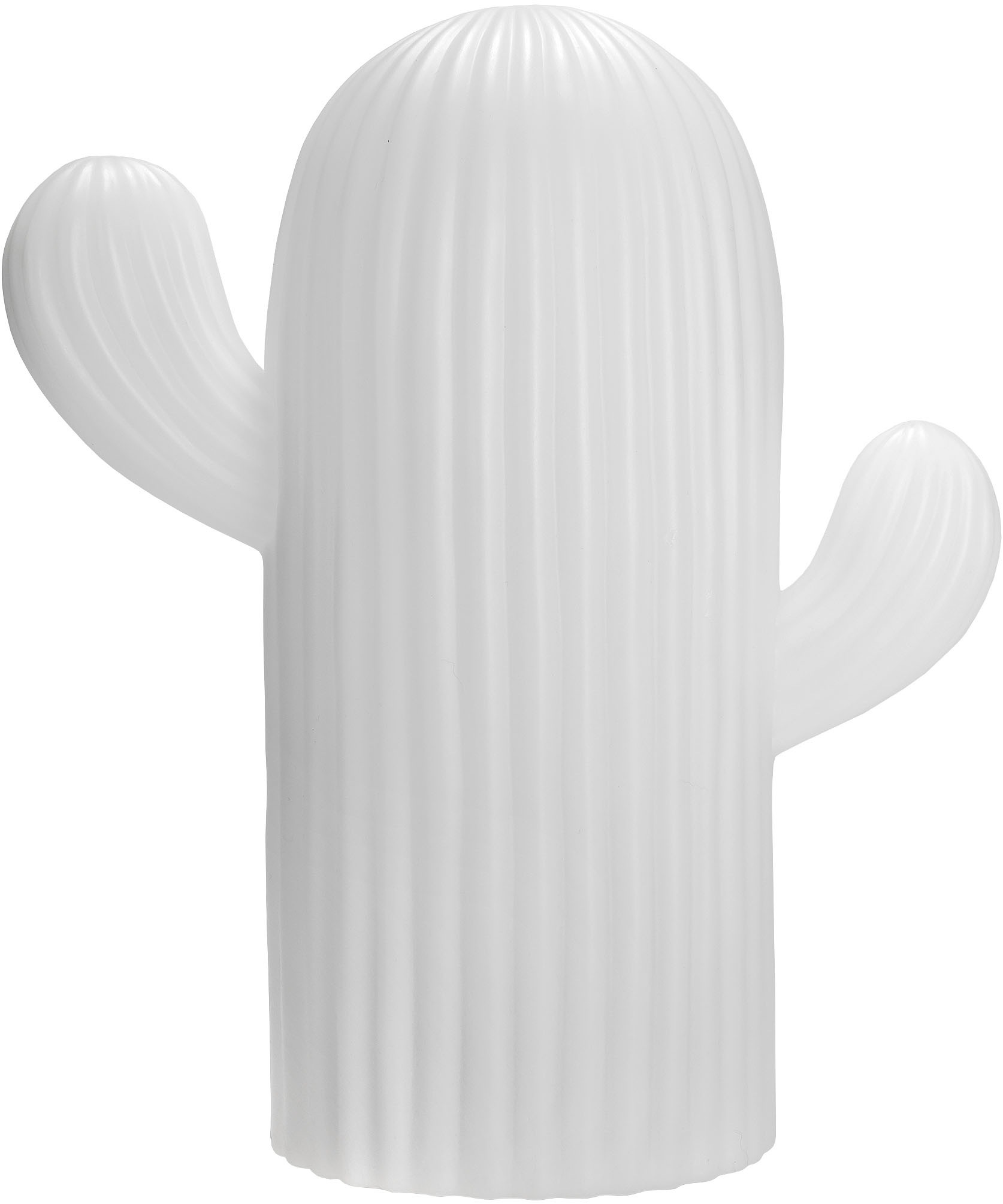 my home LED Solarleuchte "Elowyn, LED-Solar Kaktus" LED-Modul 1 Stk. RGB  W günstig online kaufen