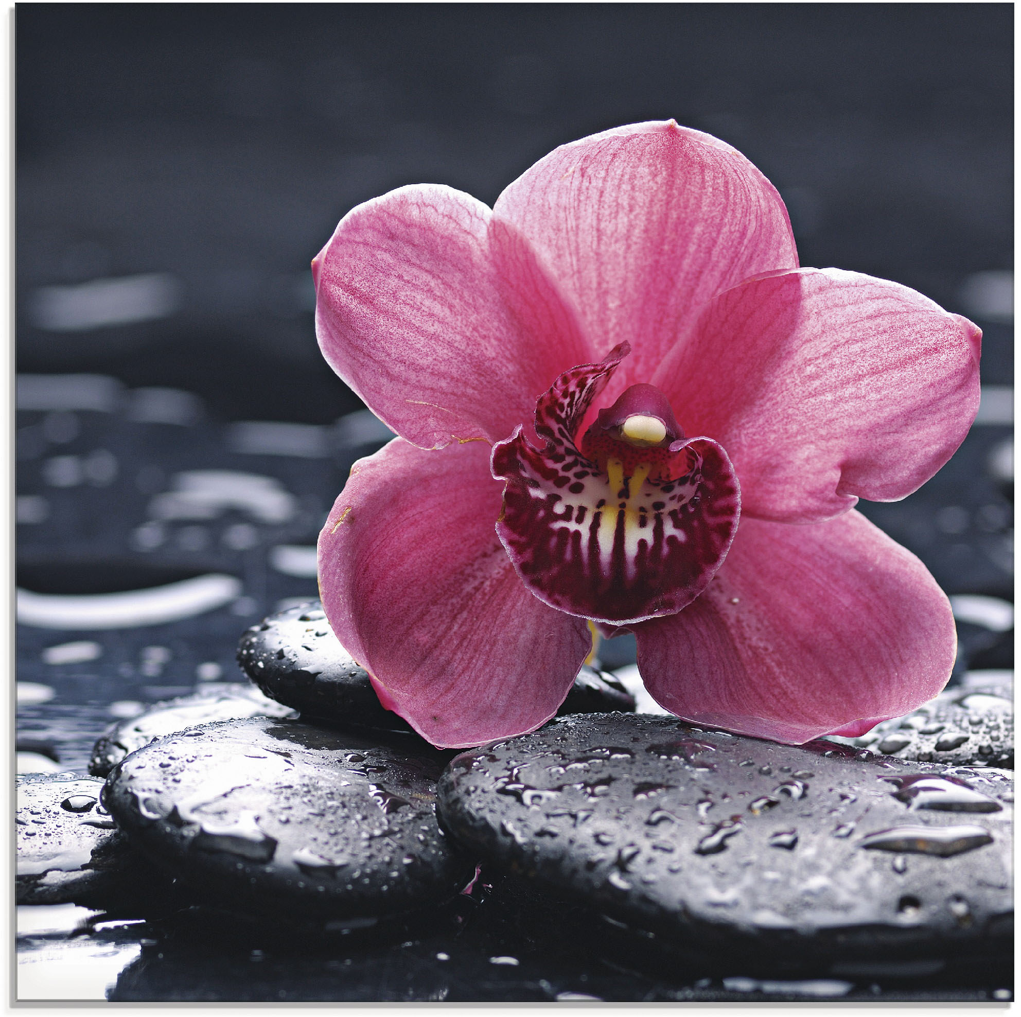 Artland Glasbild "Stillleben mit Kiesel und einer Orchidee" Blumen 1 Stk. tlg. in verschiedenen Größen