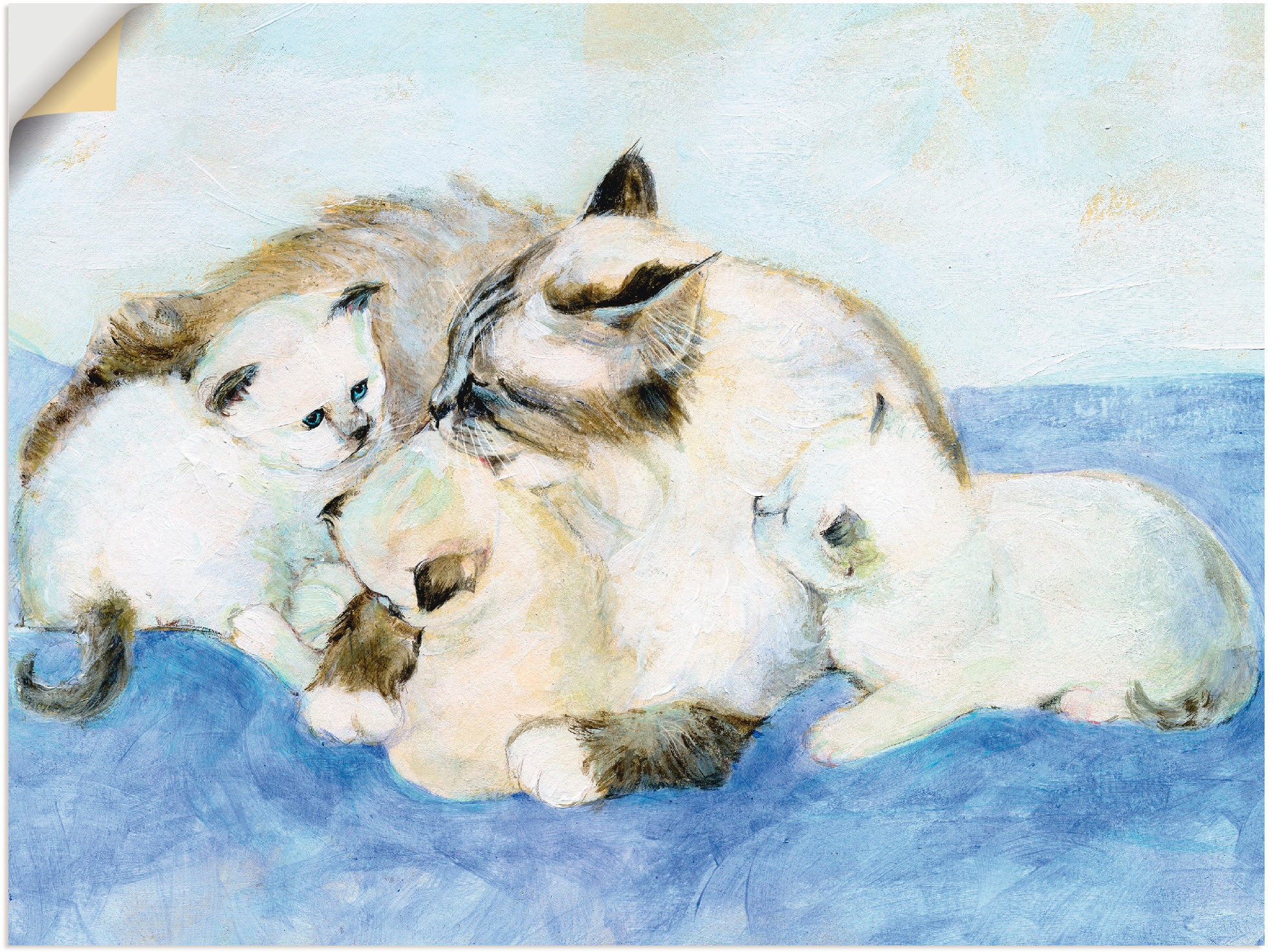 Artland Wandbild "Katzenfamilie", Haustiere, (1 St.), als Leinwandbild, Wandaufkleber in verschied. Größen