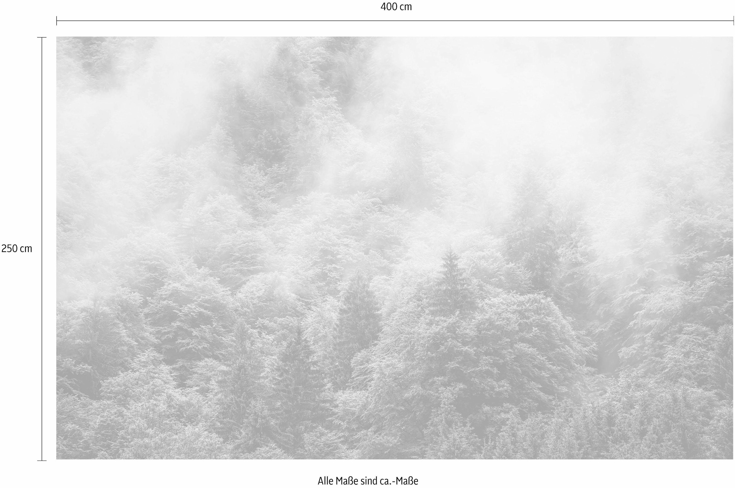 Komar Vliestapete »Digitaldruck Vlies - Forest Land - Größe 400 x 250 cm«, bedruckt, Wohnzimmer, Schlafzimmer