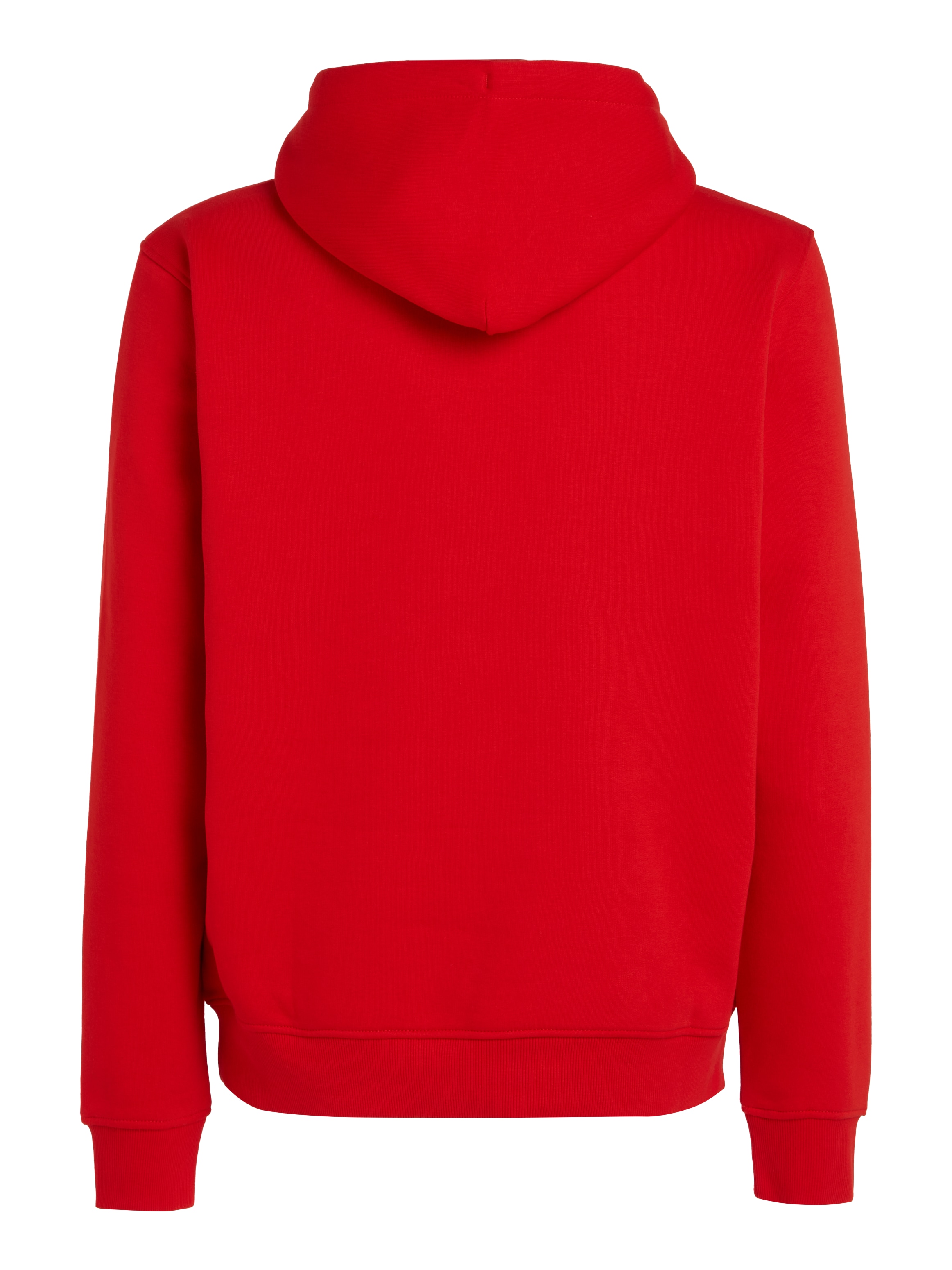 Tommy Jeans Kapuzensweatshirt »TJM REG LINEAR LOGO HOODIE EXT«, mit Kordel